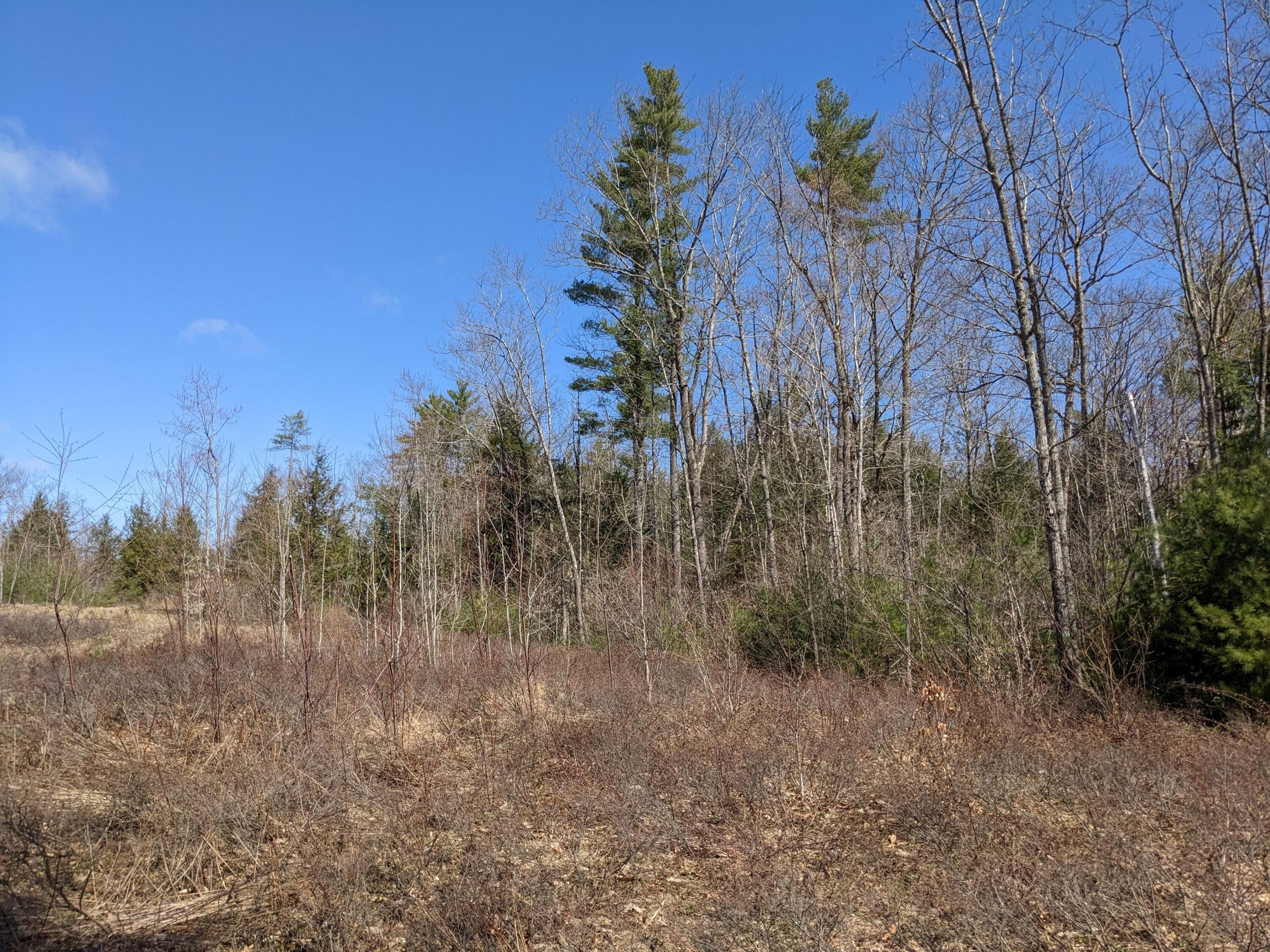 63.76 Acres, Burnell Road, Baldwin, ME 04024 Land and Farm