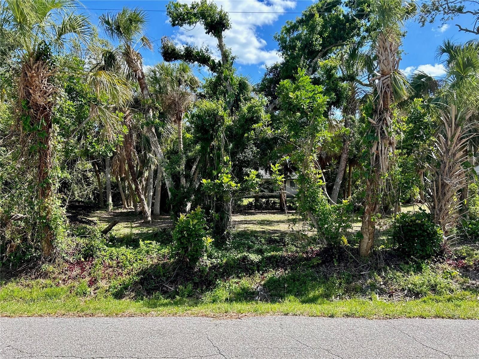 0.28 Acres, CYPRESS ROAD, Venice, FL 34293 Land and Farm