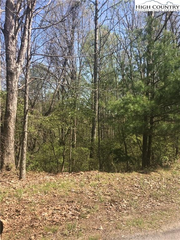 2.05 Acres, Lot 35 Happyland Road, Piney Creek, NC 28633 Land and Farm