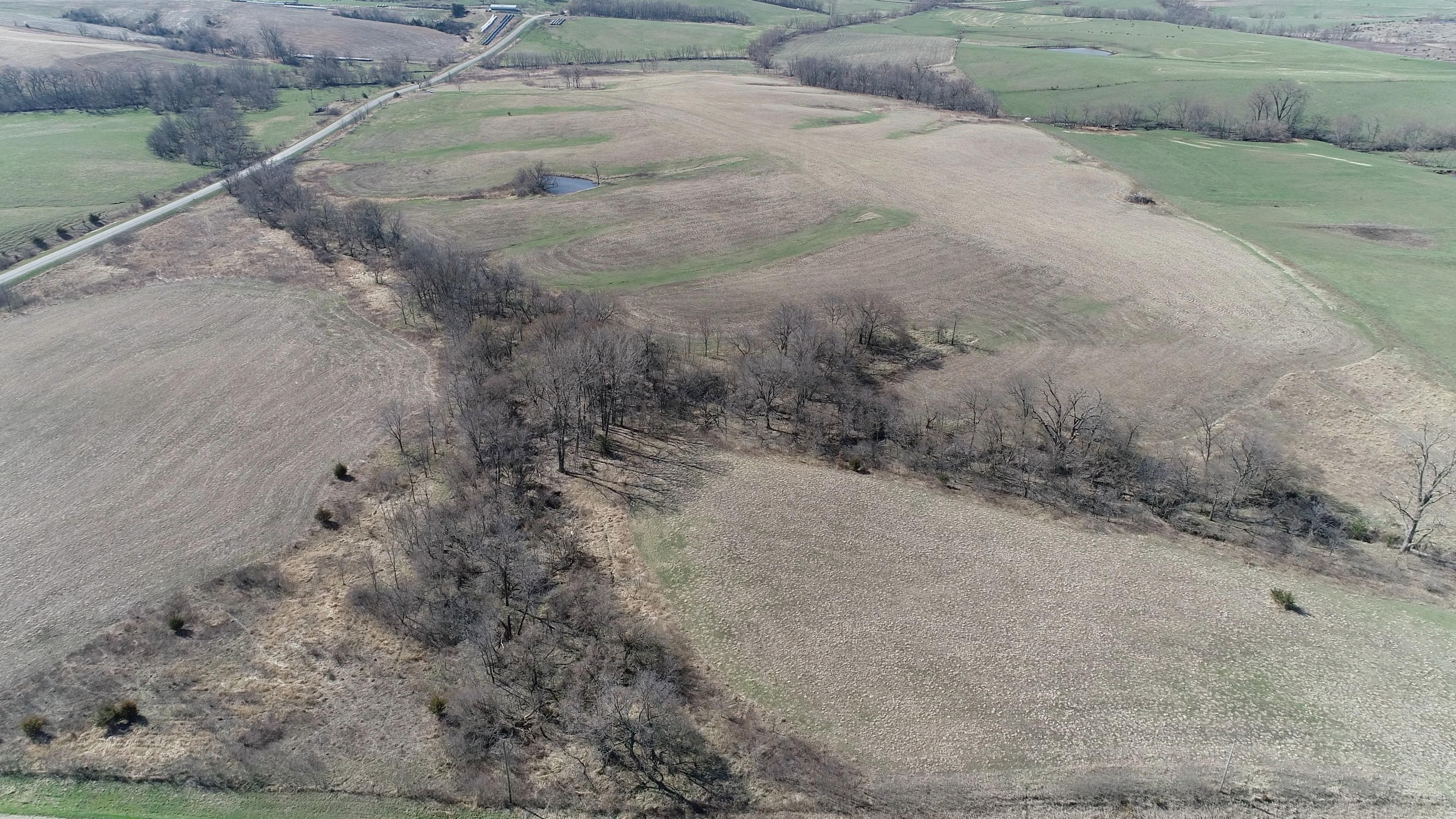 76.49 Acres, County Road P64, Kellerton, IA 50133 Land and Farm