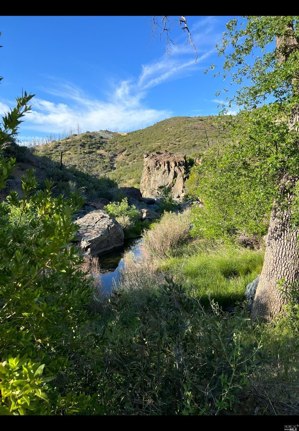 23 Acres, 8540 Rocky Creek Road, Lower Lake, CA 95457 Land and Farm