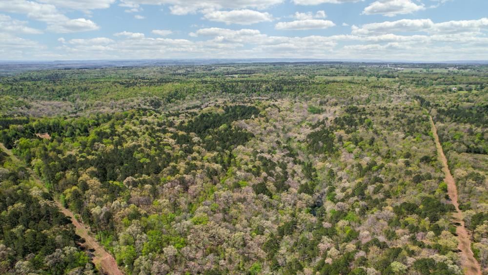 0000 Ray King Road, Judsonia, AR 72081 MLS White 80 Land and Farm