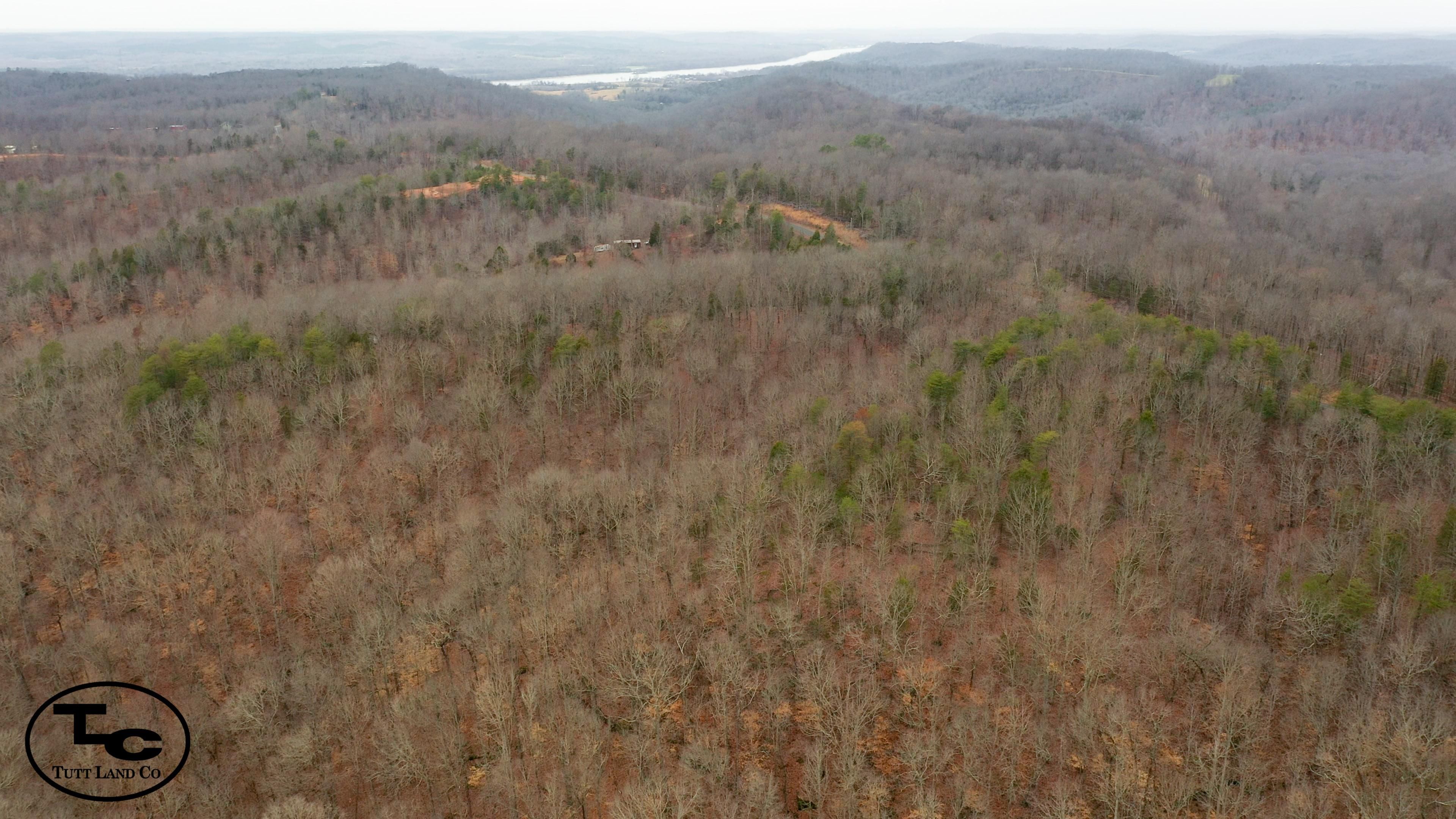 61.5 Acres, New Era Ridge Road, Linden, TN 37096 Land and Farm