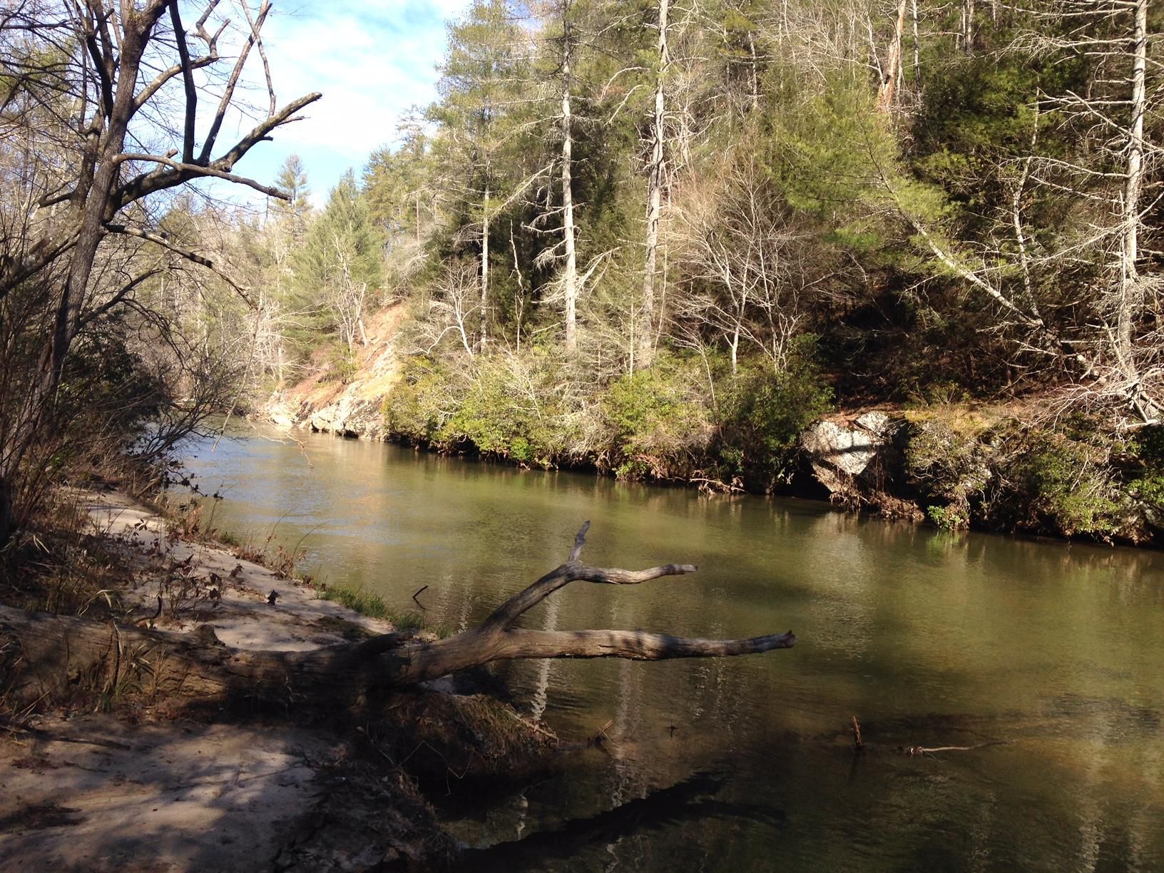 308 Acres, Auraria Road, Dahlonega, GA 30533 Land and Farm