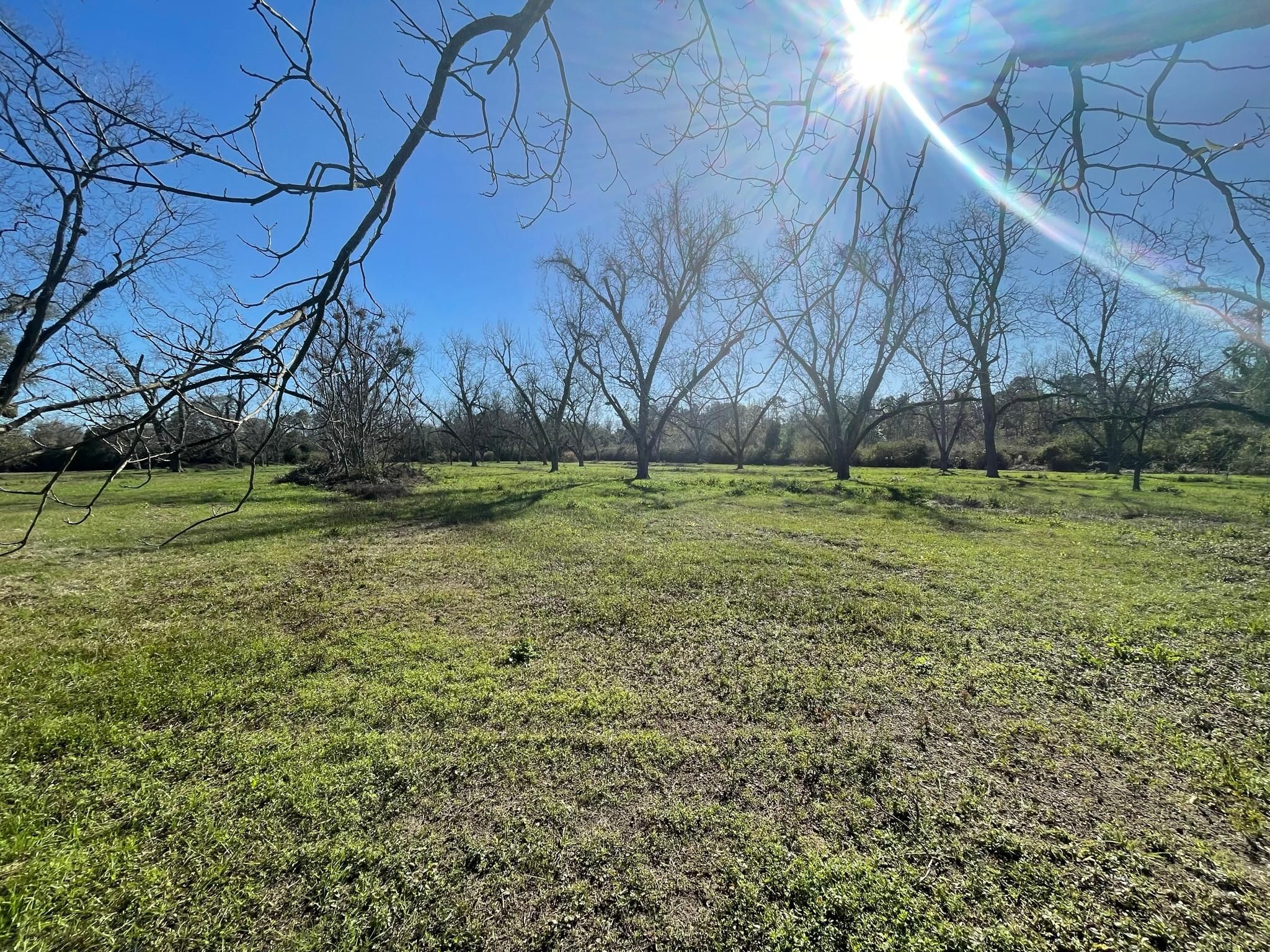 Church Street, Meigs, GA 31765 MLS A920536A Land and Farm