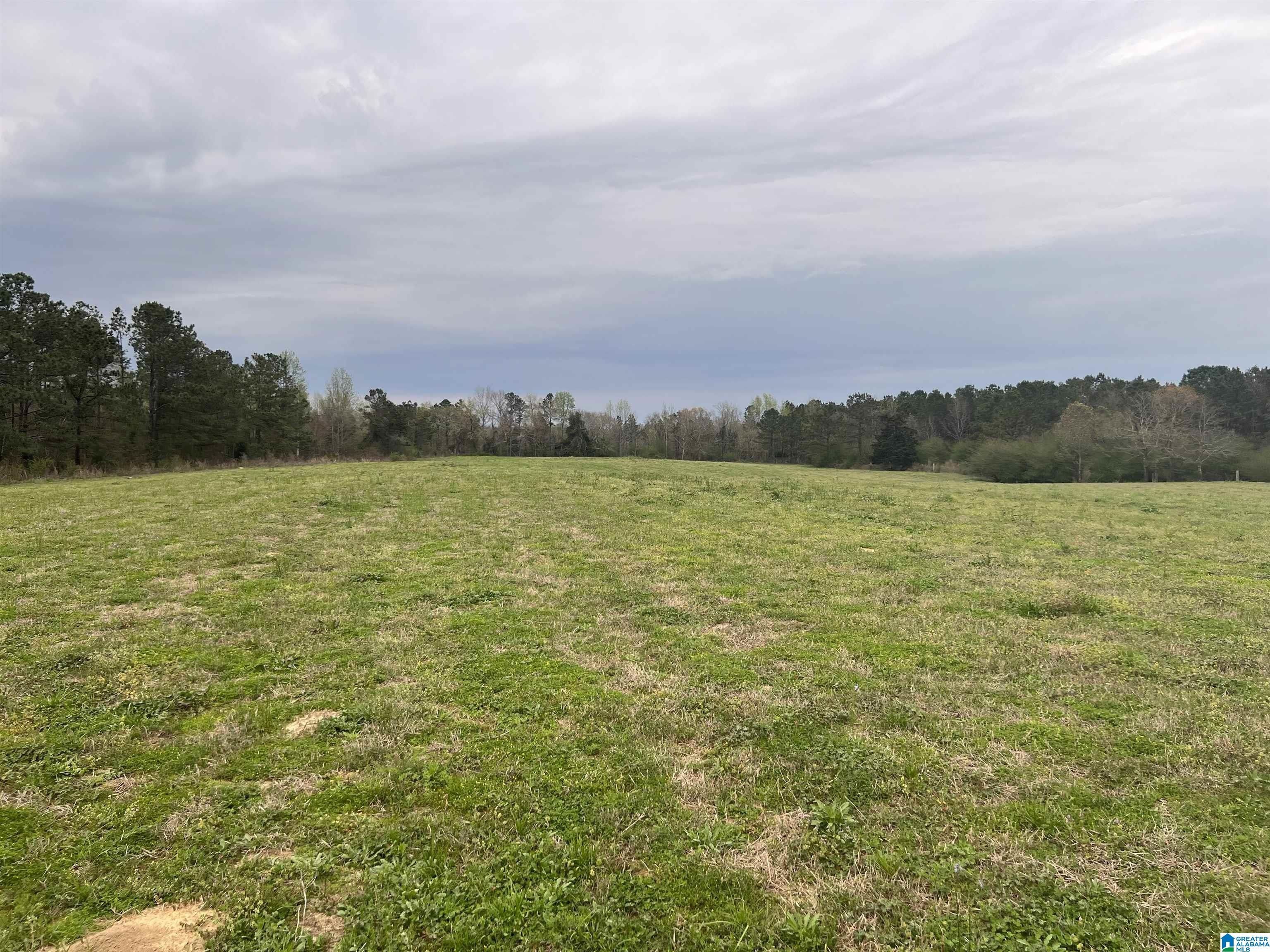 8 Acres, 10100 COUNTY ROAD 16, Maplesville, AL 35046 Land and Farm