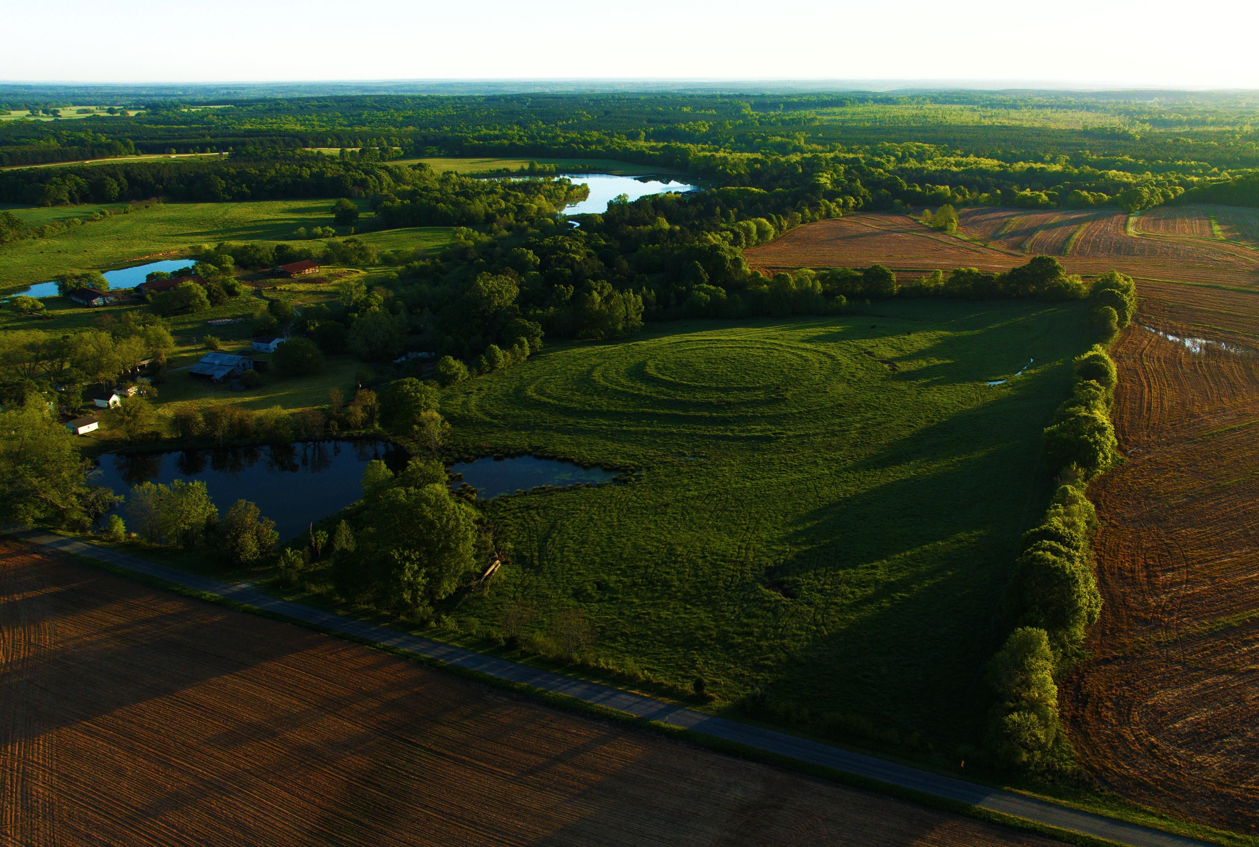 Crowder Road, Kinards, SC 29355 MLS 1497263 Land and Farm