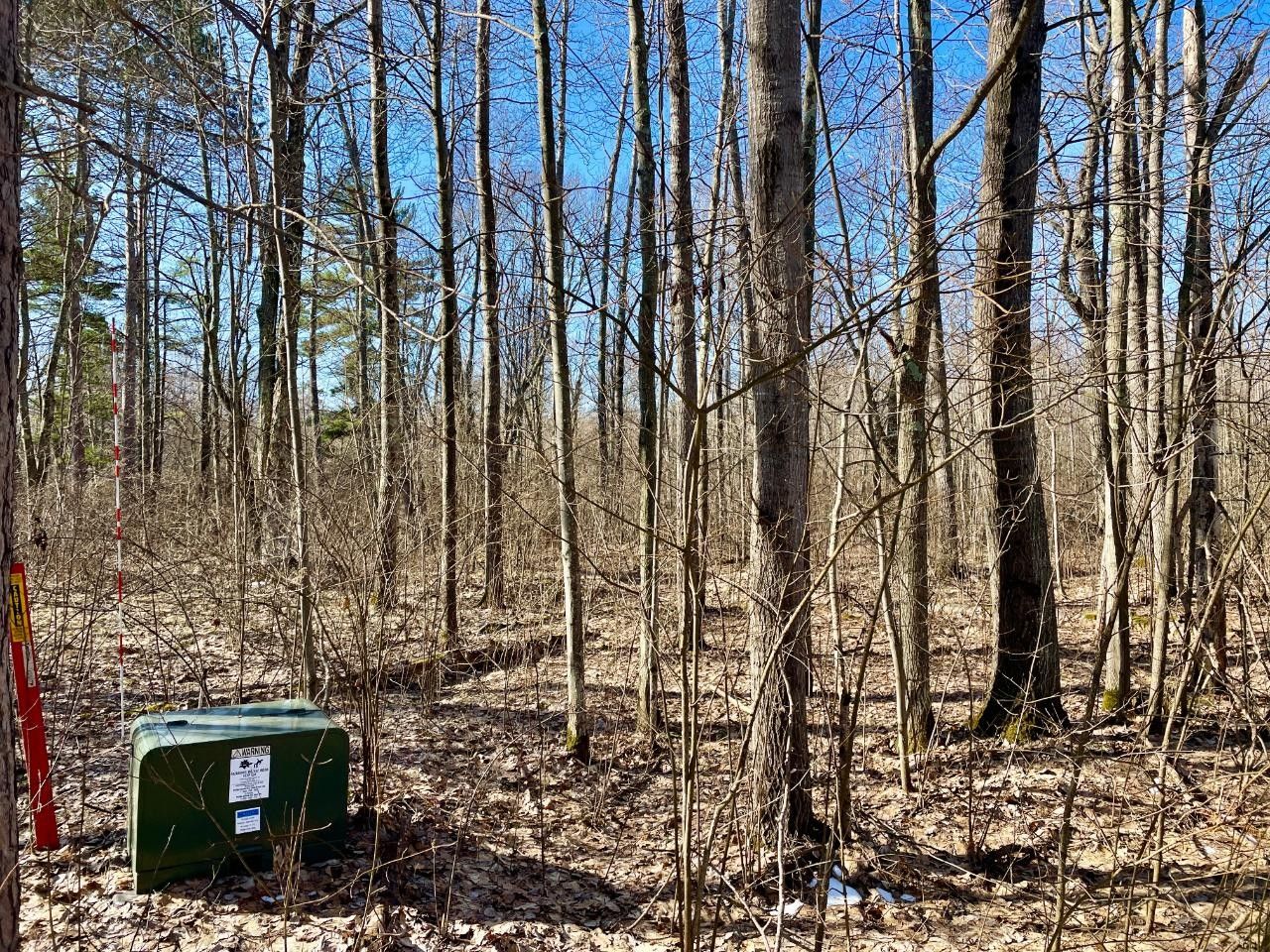 1.51 Acres, 3818 RED FOX RUN, Rhinelander, WI 54501 Land and Farm