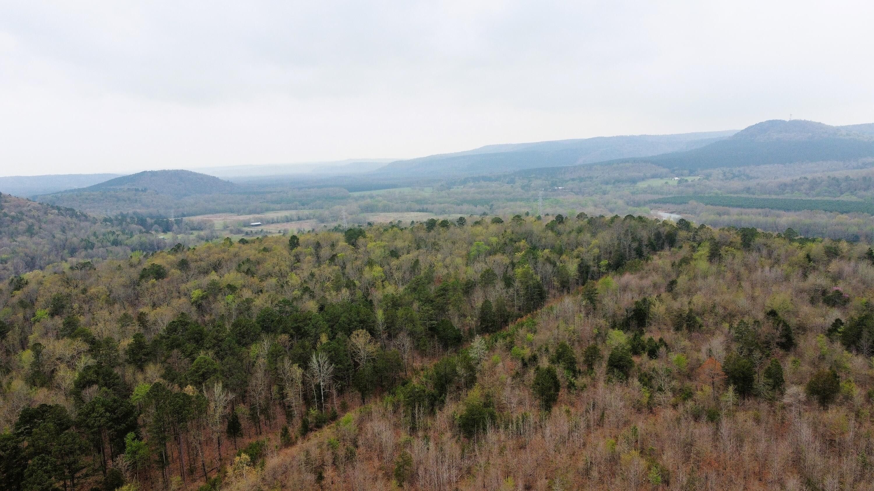 30.34 Acres, SR 164 W, Dover, AR 72837 Land and Farm