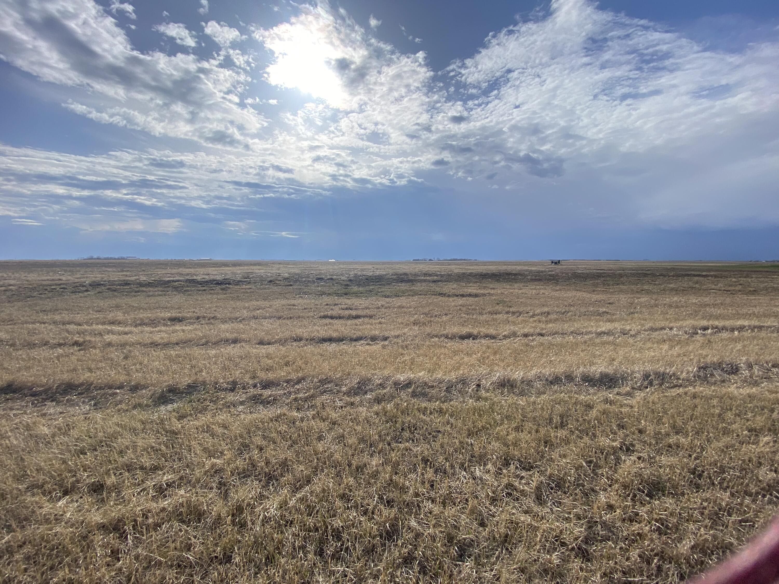 1.64 Acres, 13937 387th Avenue, Warner, SD 57479 Land and Farm