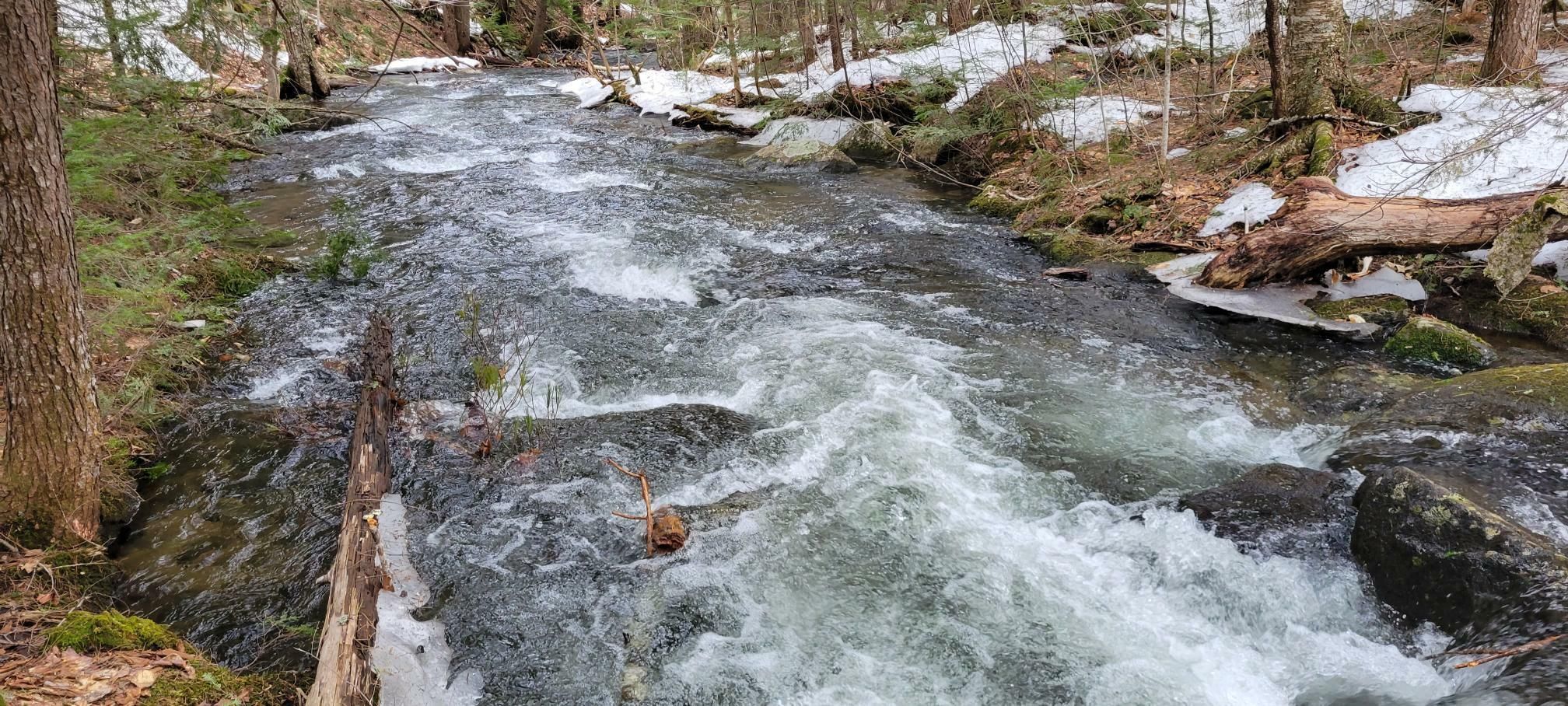 46 acres in Wilton, ME, 04294 Land and Farm