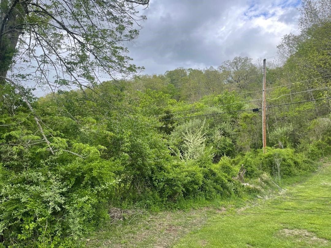 20.7 Acres, Pineview Road, Lavalette, WV 25535 Land and Farm