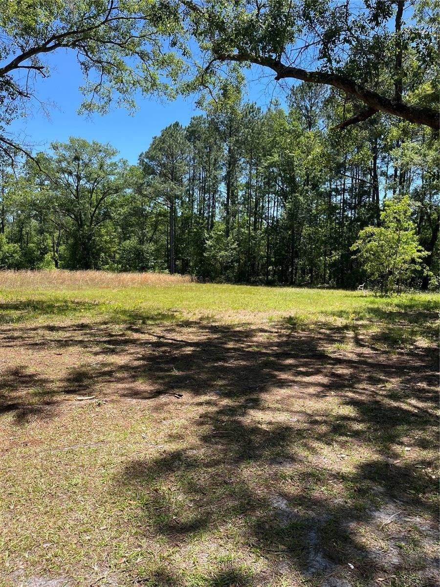 10.84 Acres, 10226 NE 76TH TERRACE, Gainesville, FL 32609 Land and Farm