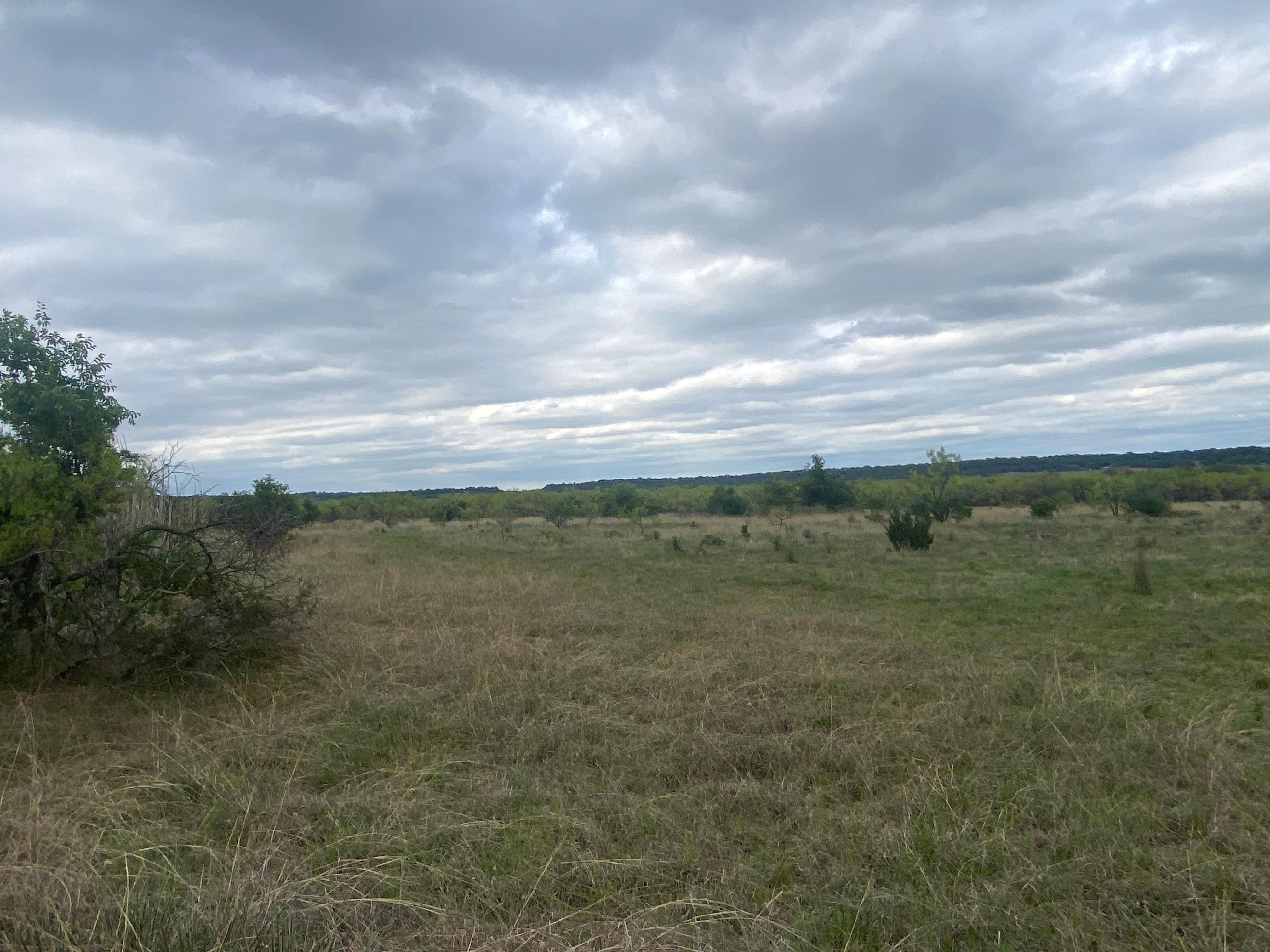 County Road, Santa Anna, TX 76878 MLS 20313359 Land and Farm