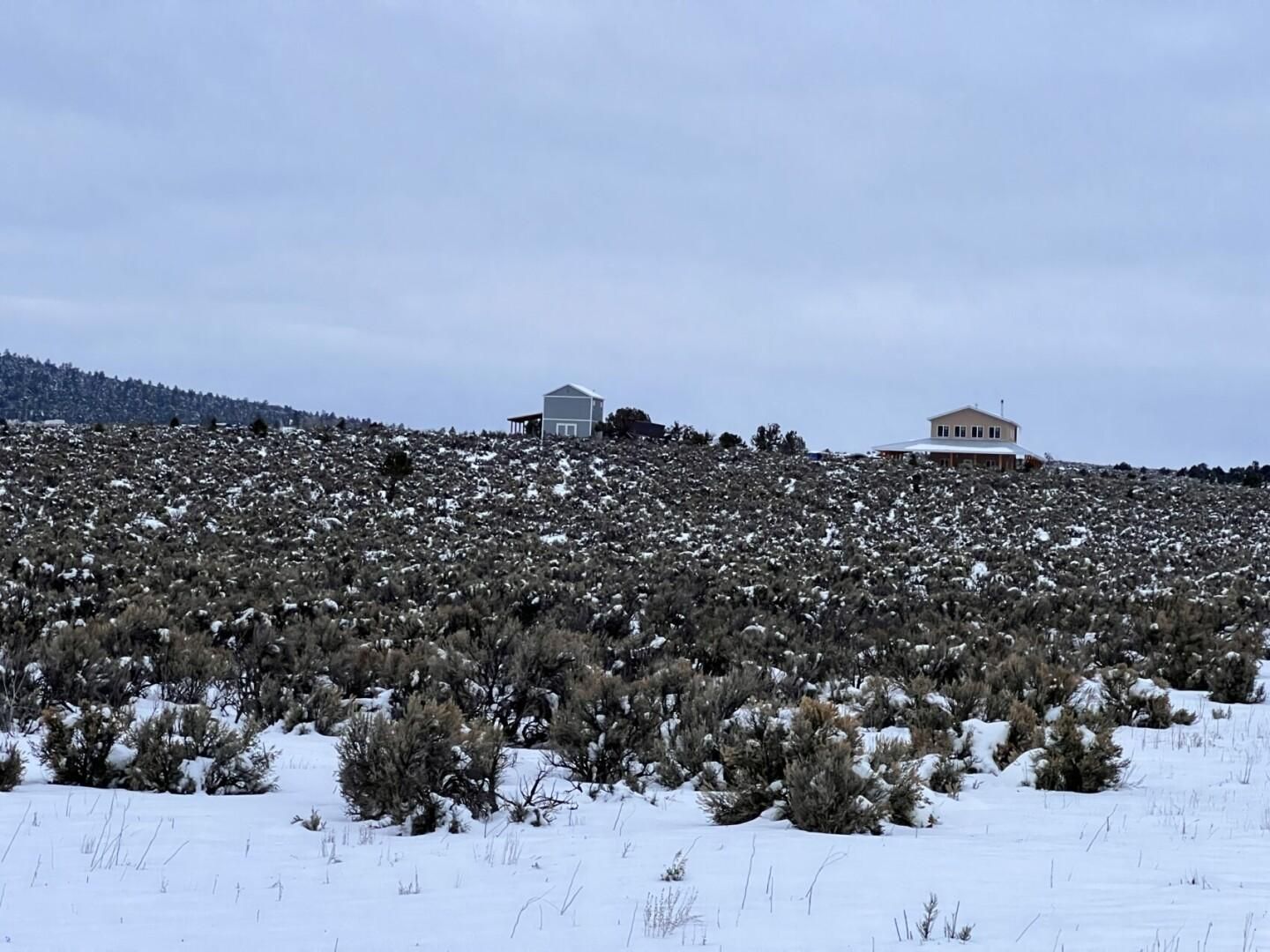 10 Acres, A51383, La Jara, NM 87027 Land and Farm