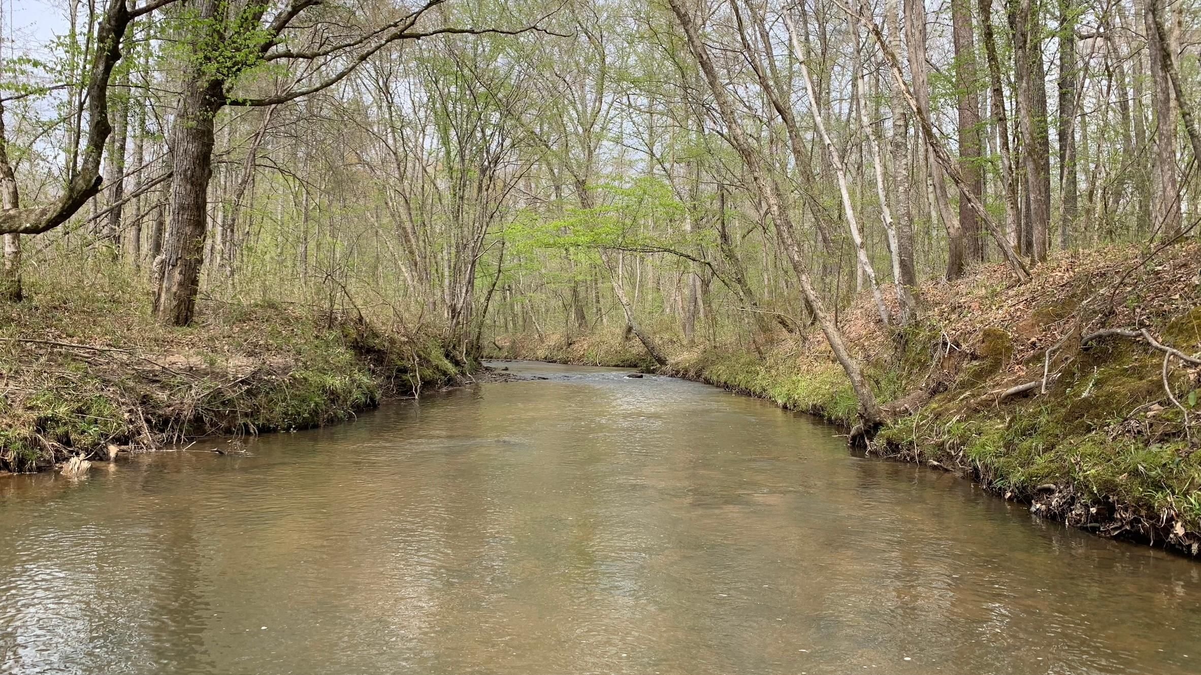 Linton Road, Sparta, GA 31087 Land and Farm
