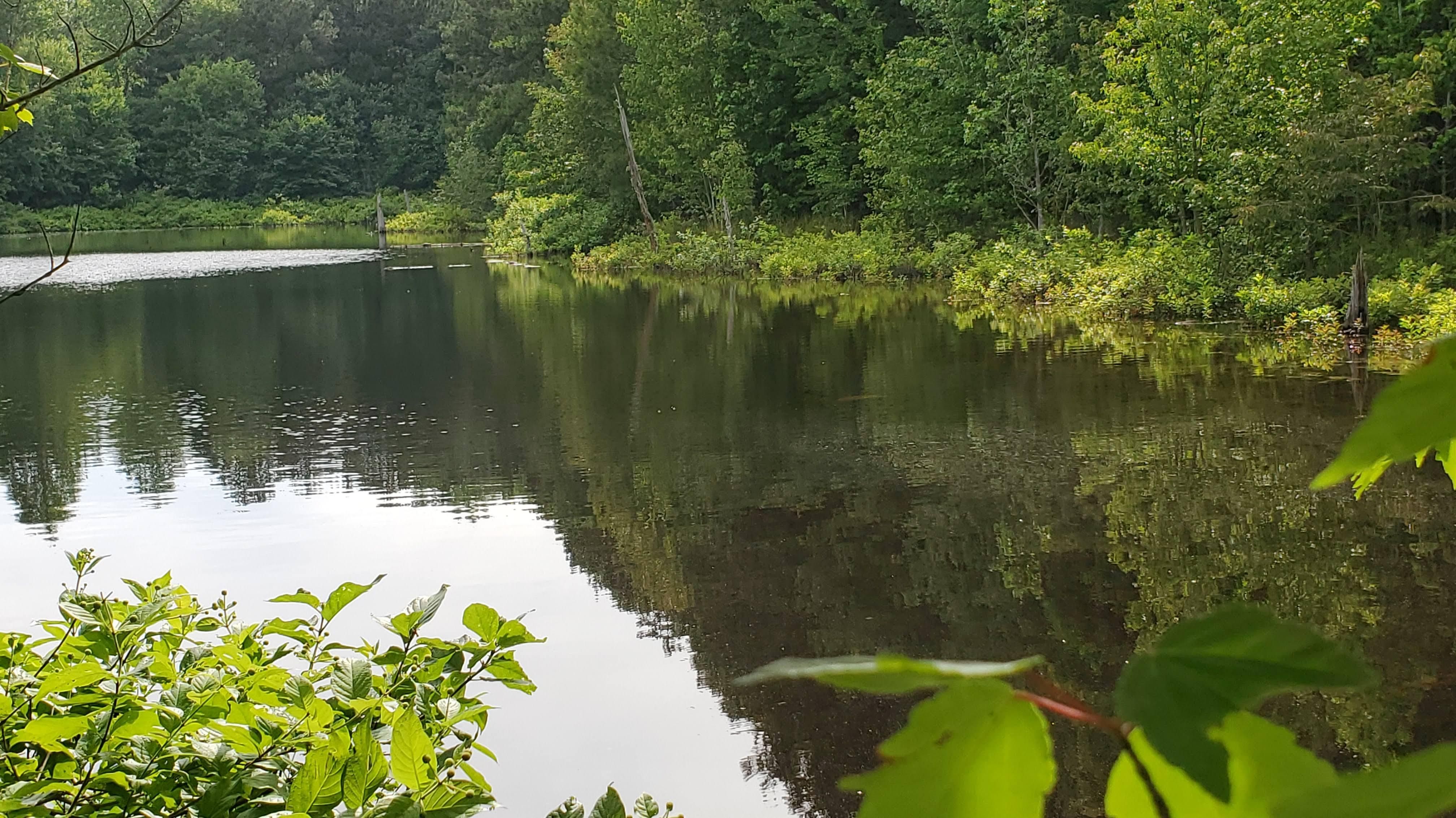 Intersection of Cato and Bramlett Road, Greensboro, GA 30642 Land and