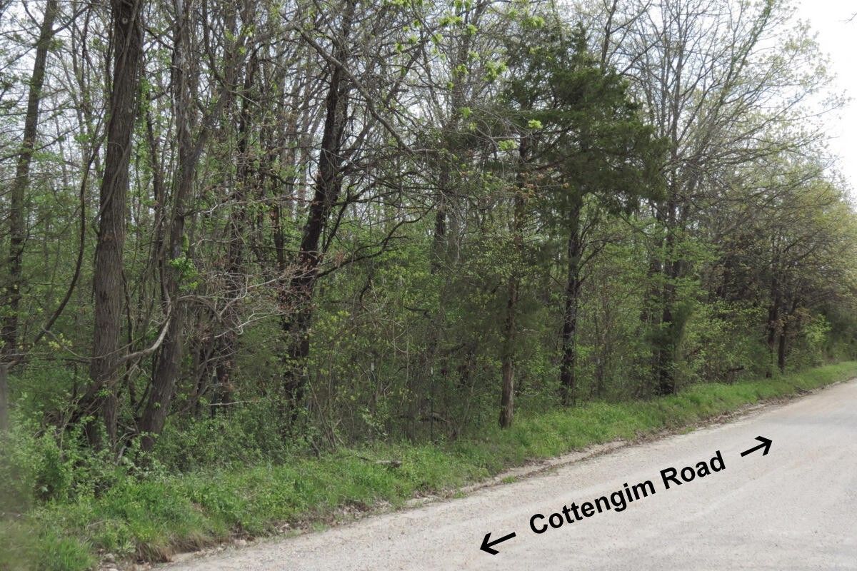 32 Acres, 000 Cottengim Road, MO 65702 Land and Farm