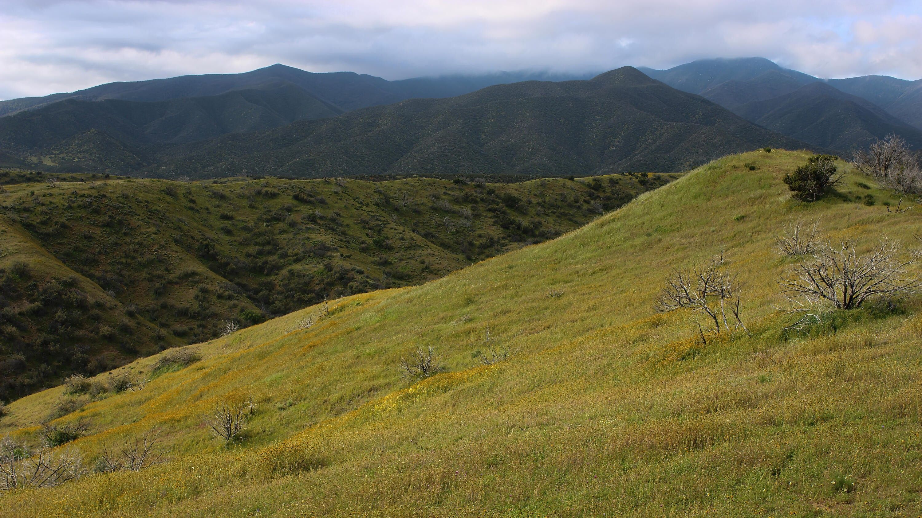 205 Acres, 0 Wasioja Road, New Cuyama, CA 93254 Land and Farm