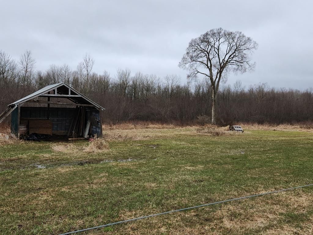 50 Acres, Walnut Road, Kennan, WI 54537 Land and Farm