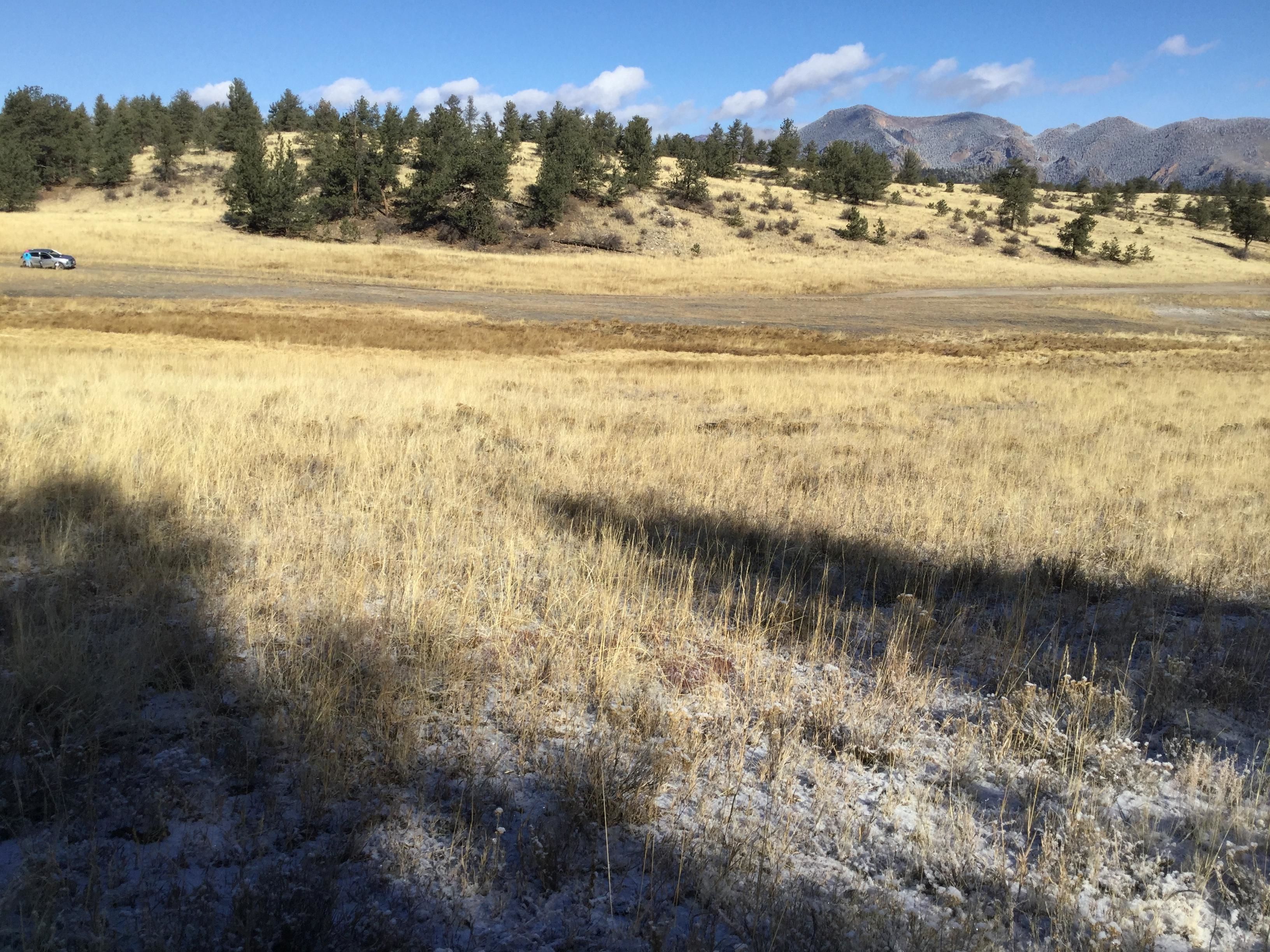 La Salle Pass Road, Lake CO 80827 MLS Exclusive Land and Farm