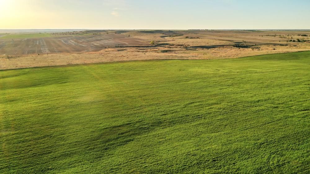 158 Acres, 00000 U Road, Plainville, KS 67663 Land and Farm