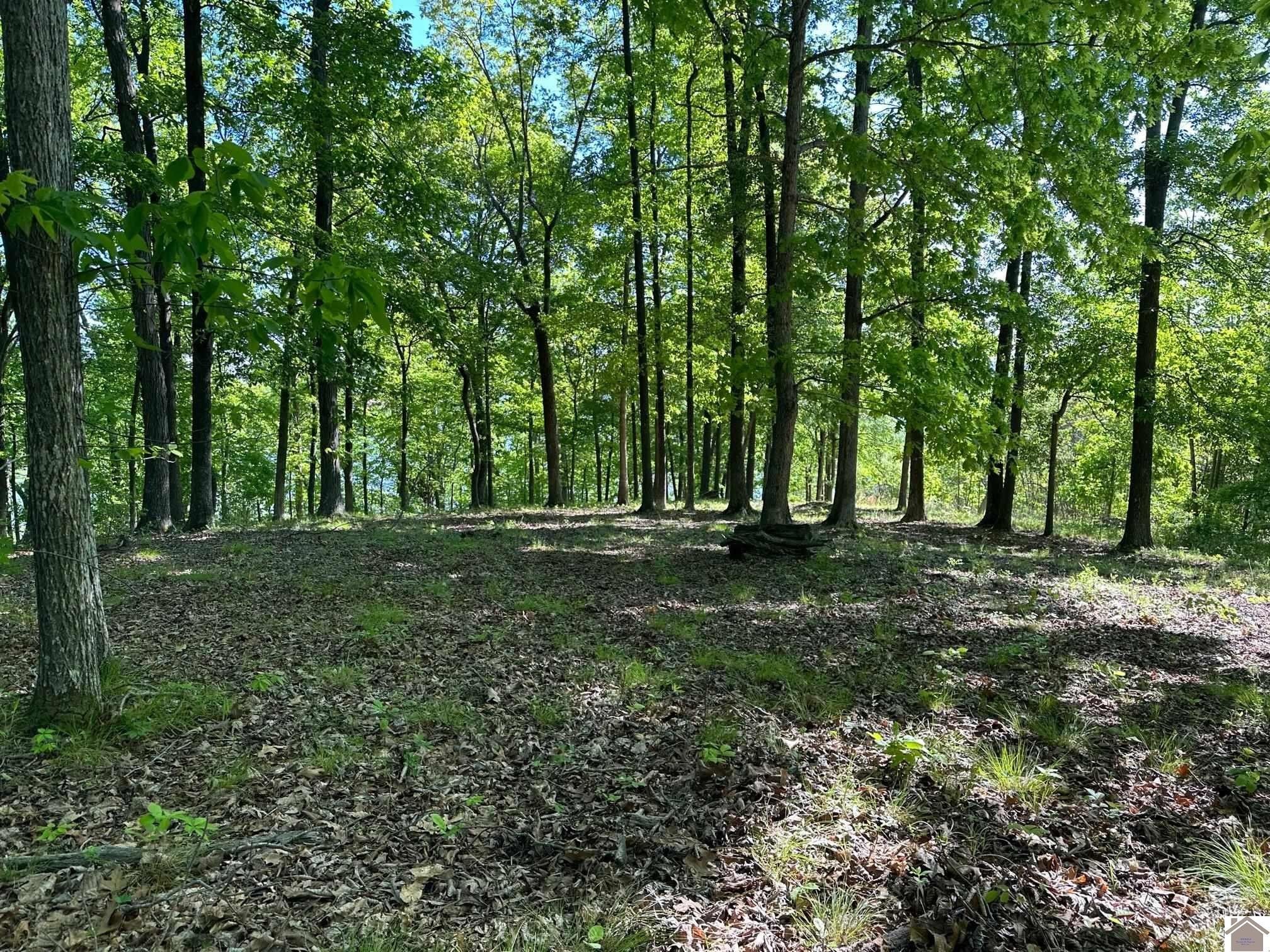 1.07 Acres, 25 Pier Lane, Murray, KY 42071 Land and Farm