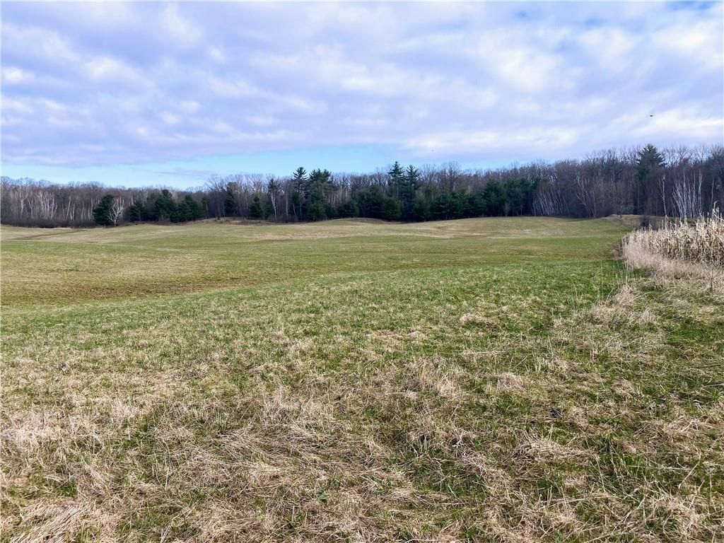 40 Acres, Tbd 6th Avenue, Turtle Lake, WI 54889 Land and Farm