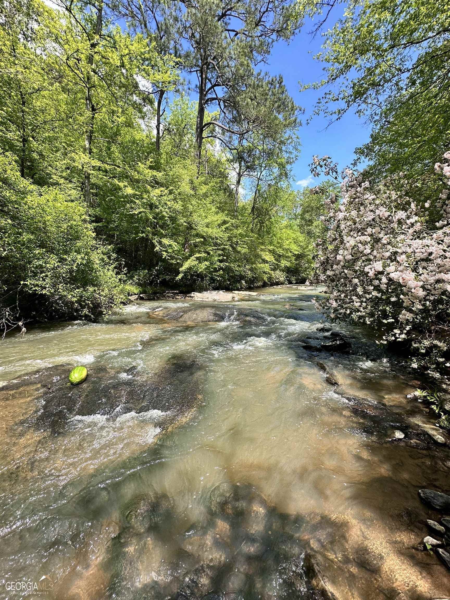 20.31 Acres, 0 Mcdonald Road, Covington, GA 30014 Land and Farm