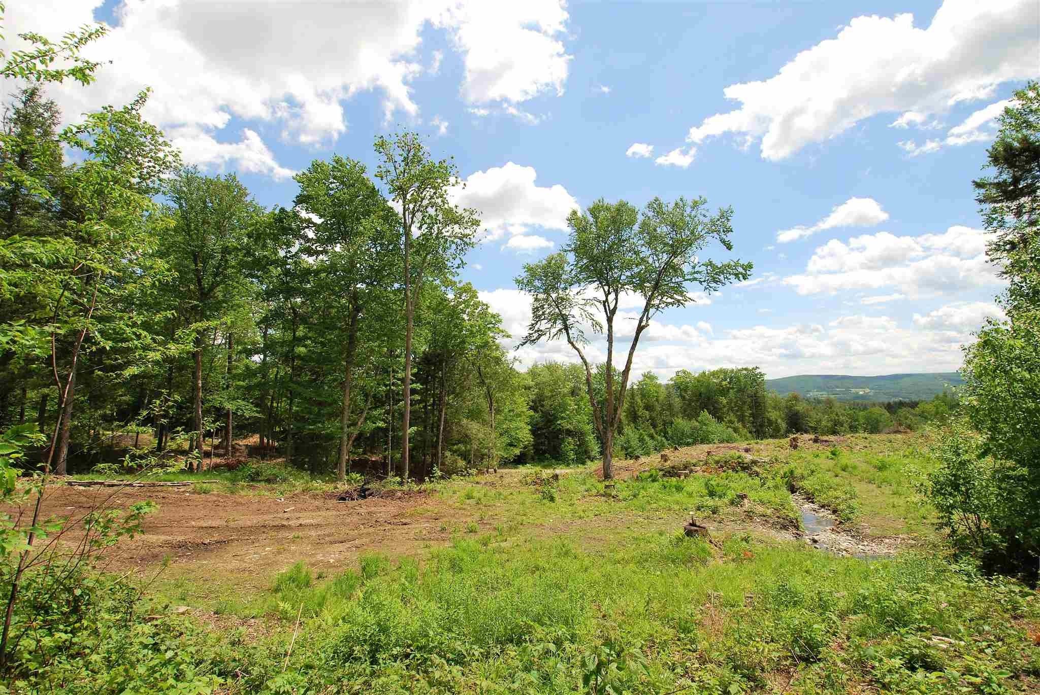 5.25 Acres, Lot 3 Berno Road, Duxbury, VT 05676 Land and Farm