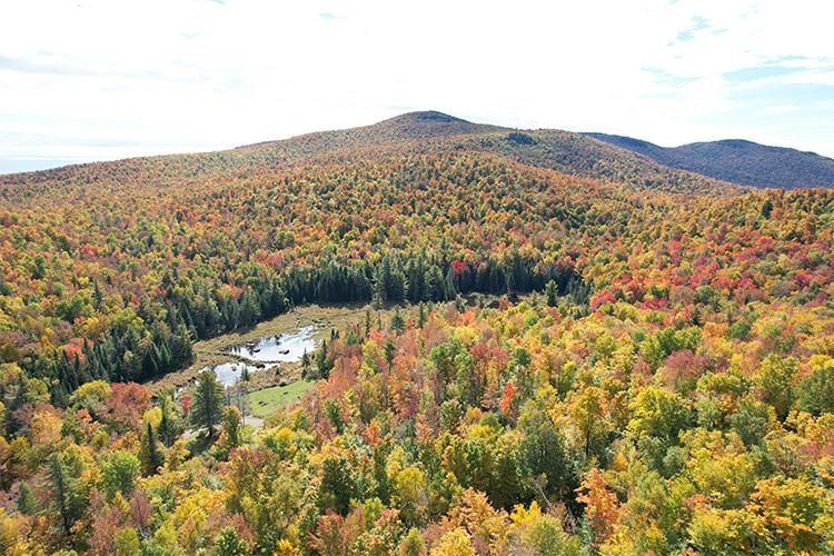 Off Henry Wescott Road, Thurman, NY 12810 MLS 202315979 Land and Farm