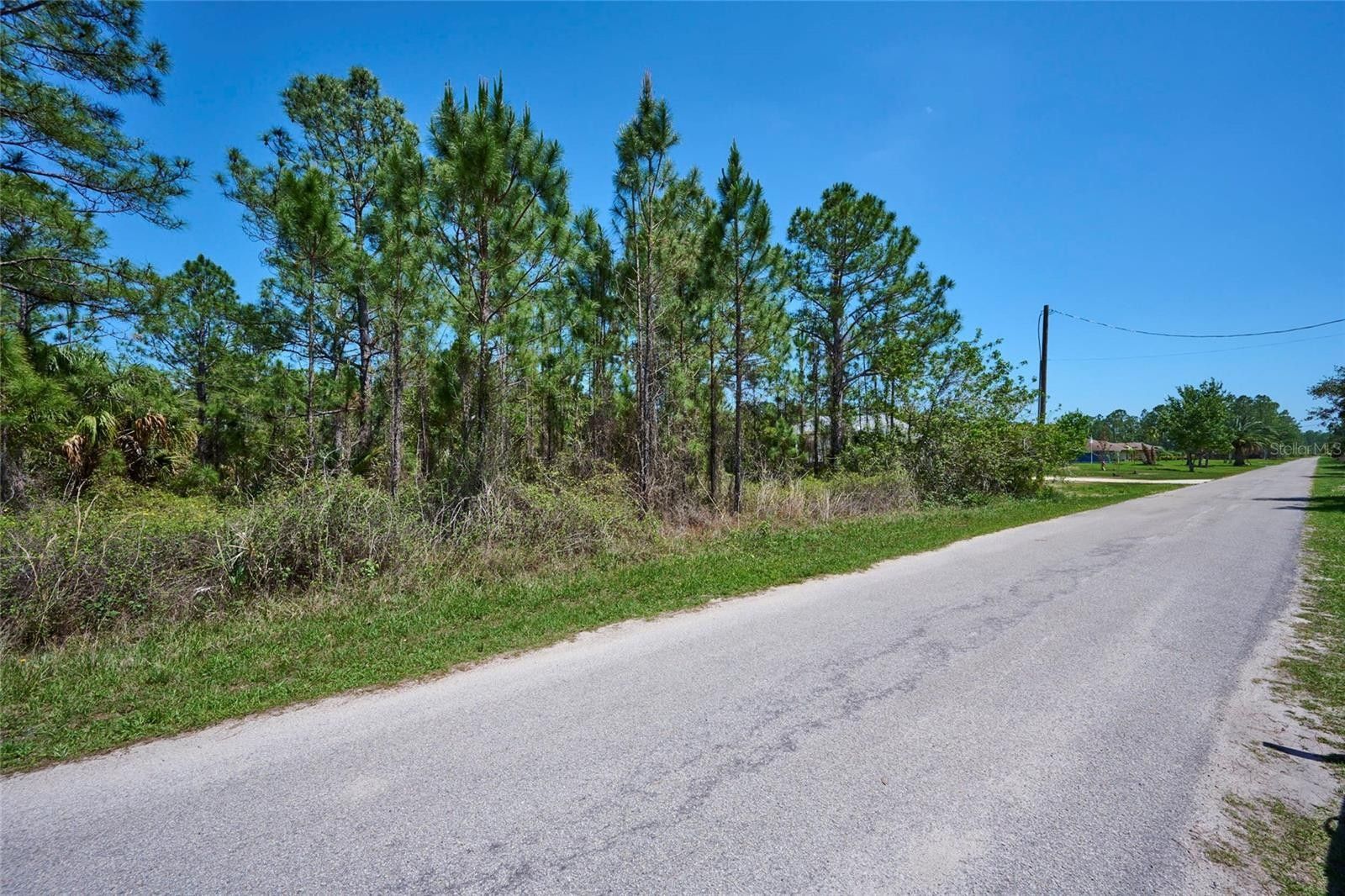0.5 Acres, 6 AMARYLLIS DRIVE S, Indian Lake Estates, FL 33855 Land