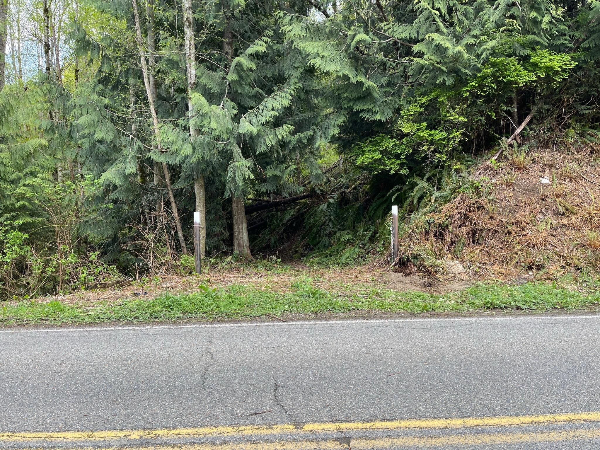 40.84 Acres, 2800 Freestad Rd, Lake Goodwin, WA 98292 Land and Farm