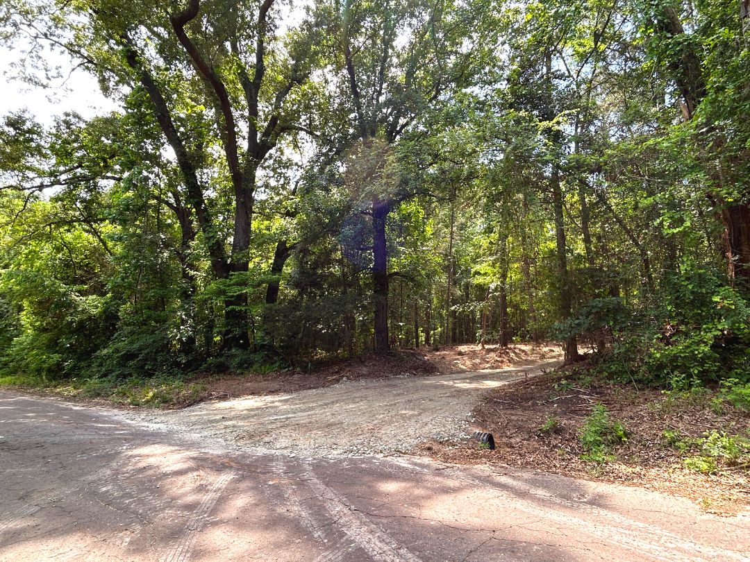 20 Acres, Woodchuck Road, Leesburg, TX 75451 Land and Farm