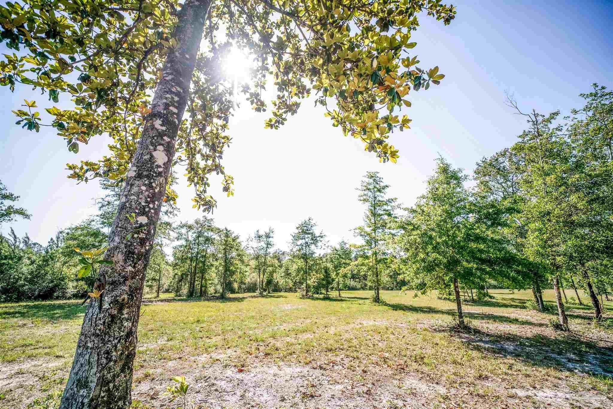 22.81 Acres, 84 Buffalo Ridge Rd, Pace, FL 32571 Land and Farm