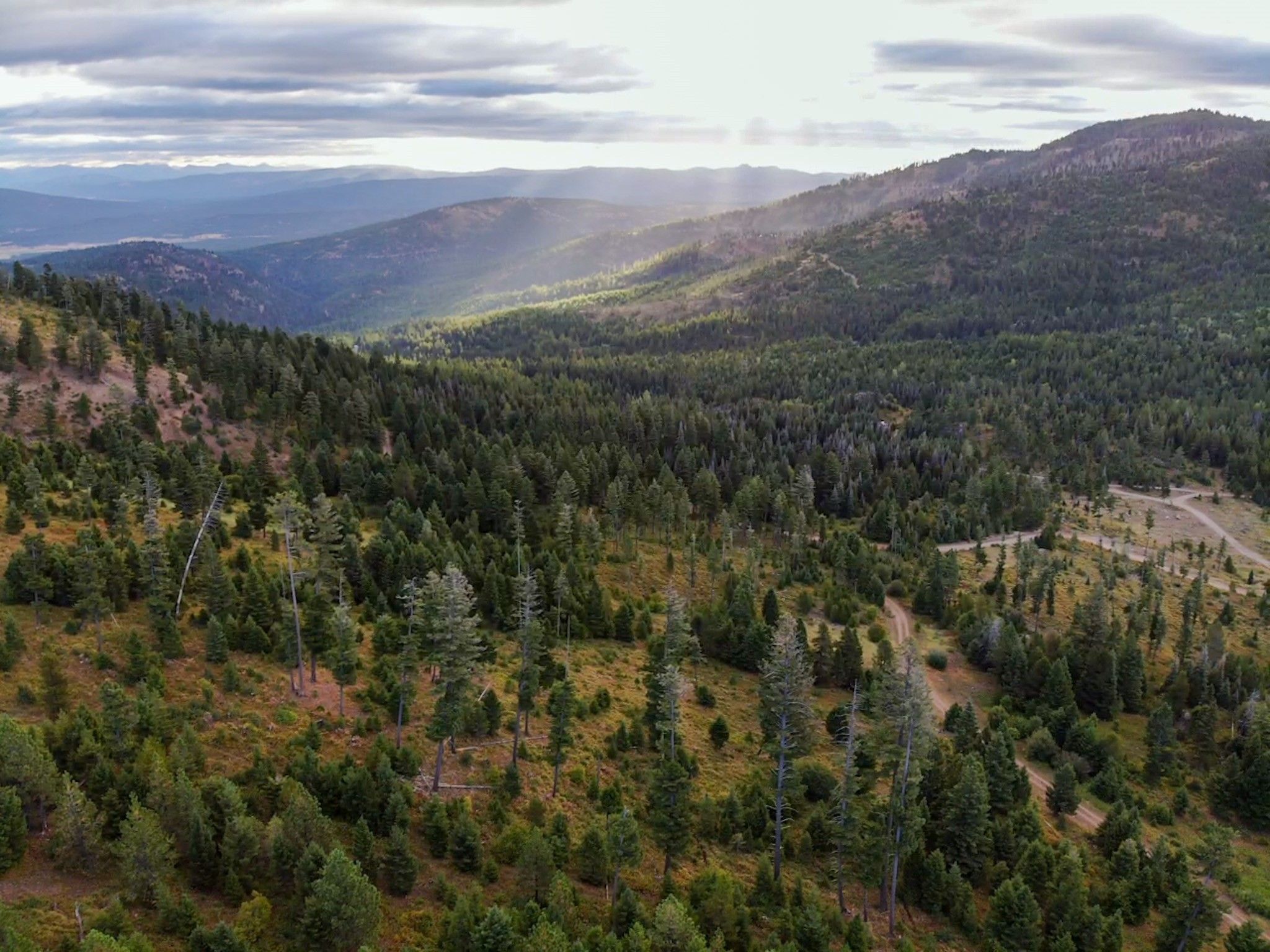 166 Acres, 25254 W Ashby Creek Road, Potomac, MT 59823 Land and Farm