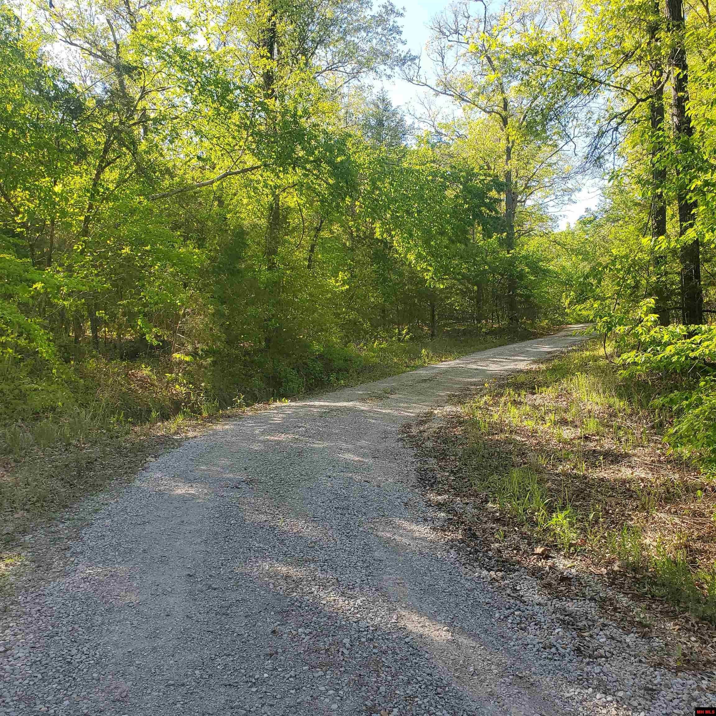 80 Acres, 00902898014 DEER PATH LANE, Salesville, AR 72653 Land and Farm