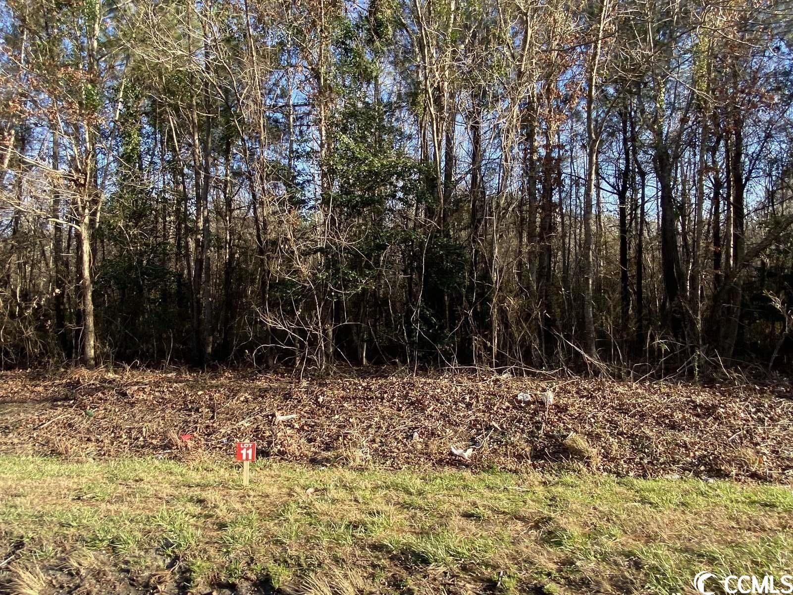 10 Acres, TBD Highway 378 , Lot 11, Johnsonville, SC 29555 Land and Farm