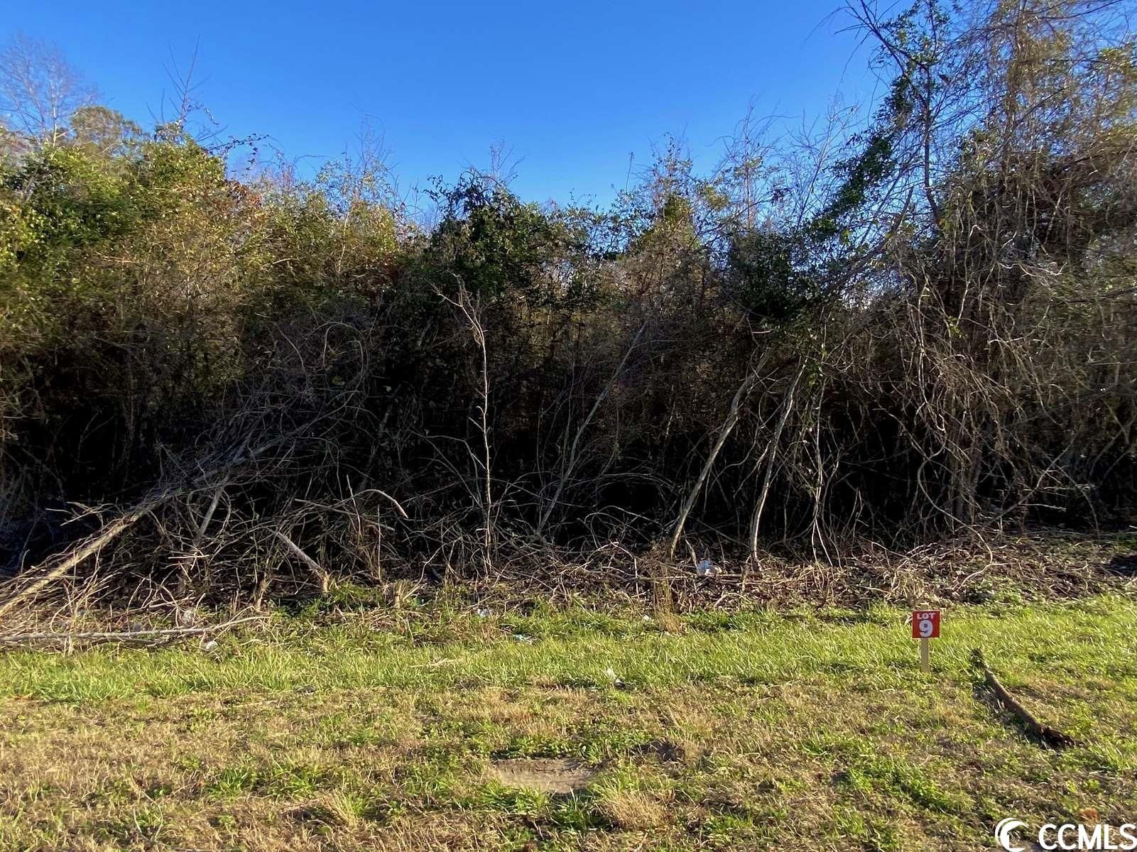 12 Acres, TBD Highway 378 , Lot 9, Johnsonville, SC 29555 Land and Farm