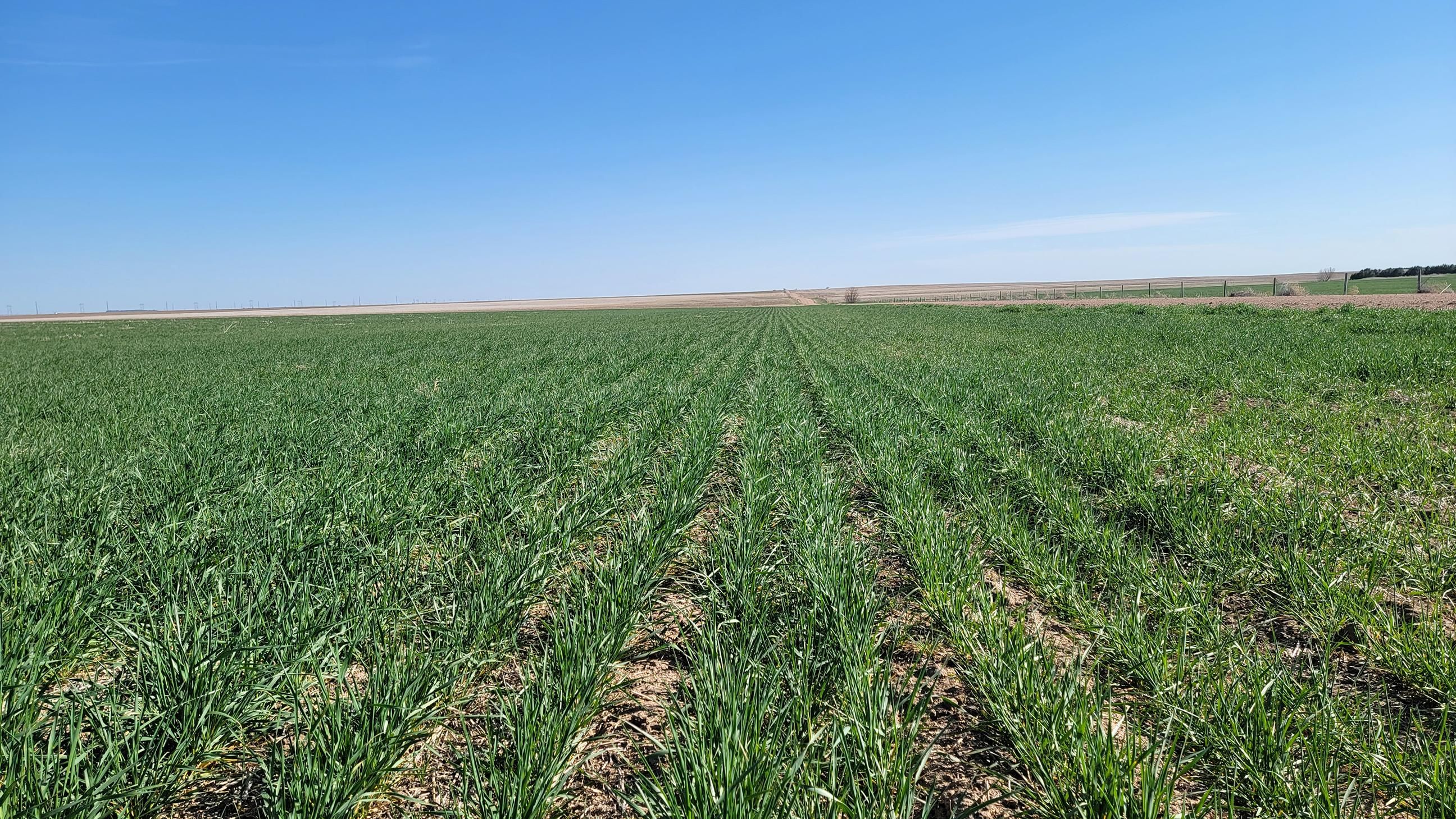 325 Acres, Yuma, CO 80759 Land and Farm