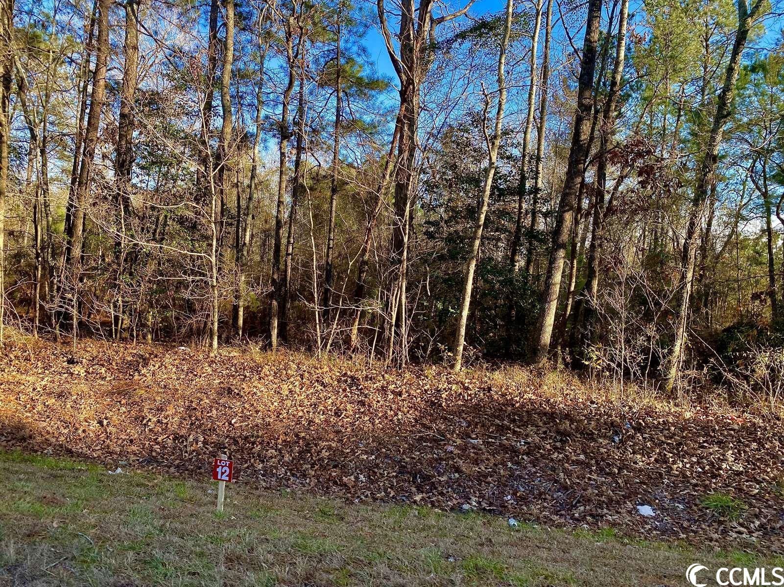 10 Acres, TBD Highway 378 , Lot 12, Johnsonville, SC 29555 Land and Farm