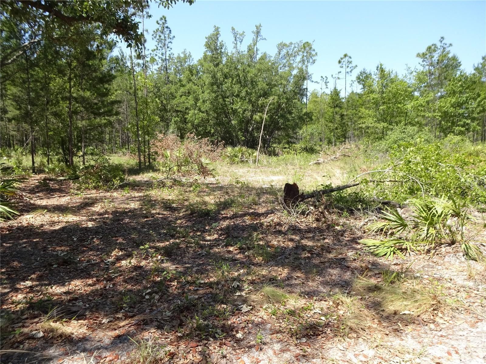 75 Acres, MEADOWLARK, Palatka, FL 32178 Land and Farm