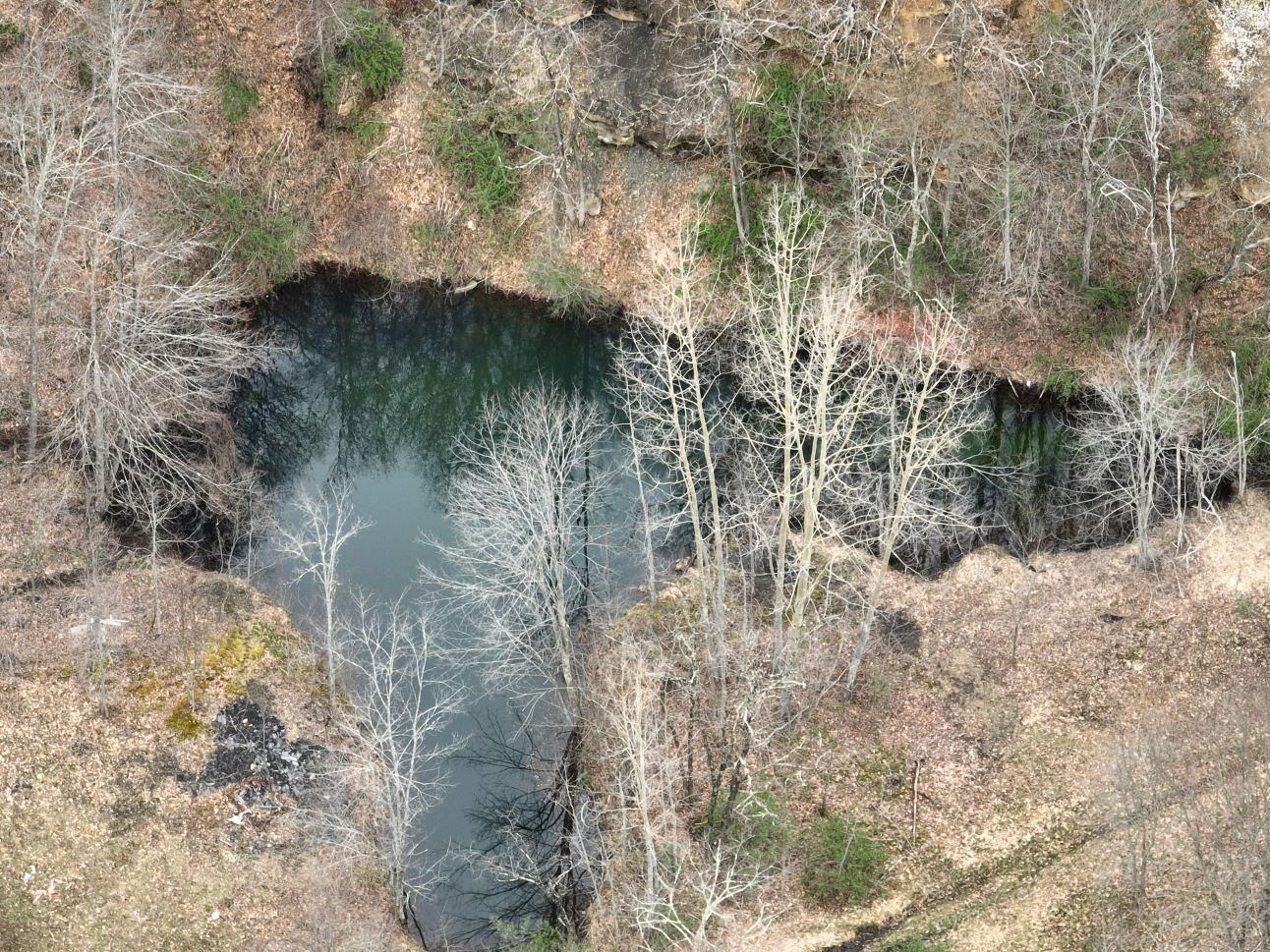 76 Acres, Leivasy, WV 26676 Land and Farm