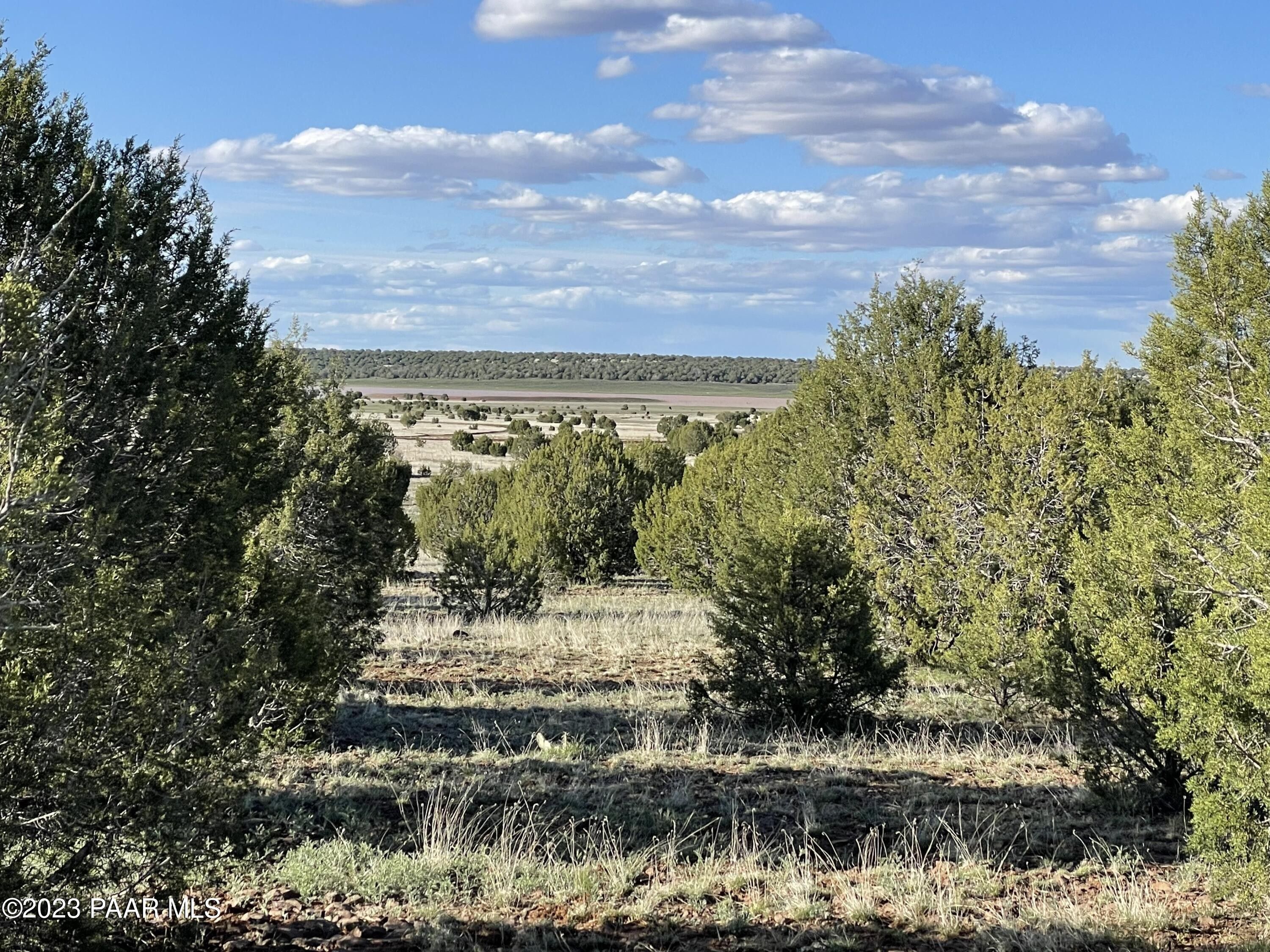 40.26 Acres, 575 Westwood Ranch, Ash Fork, AZ 86320 Land and Farm
