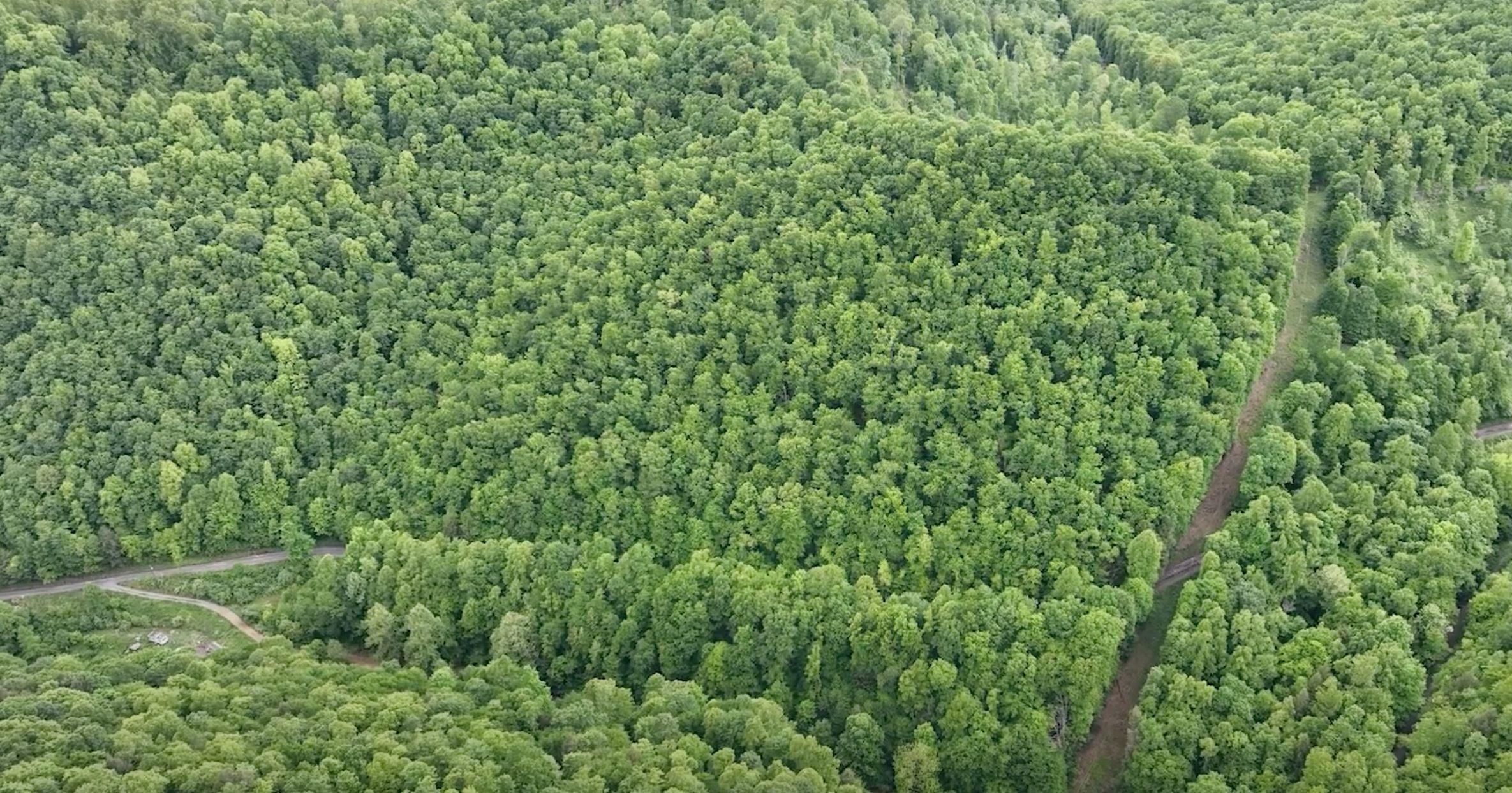 22 acres in Birch River, WV, 26610 Land and Farm