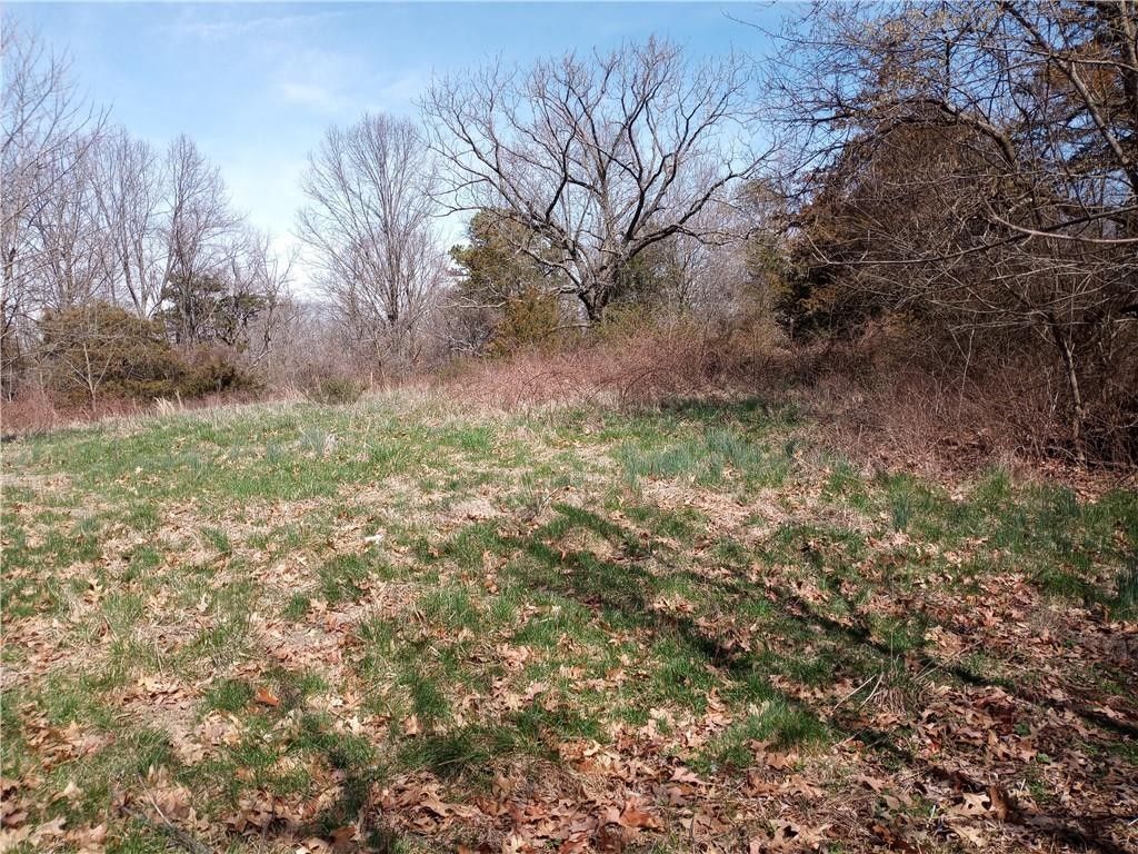 8.98 Acres, 8.98 ACRES hwy DD, Seligman, MO 65745 Land and Farm