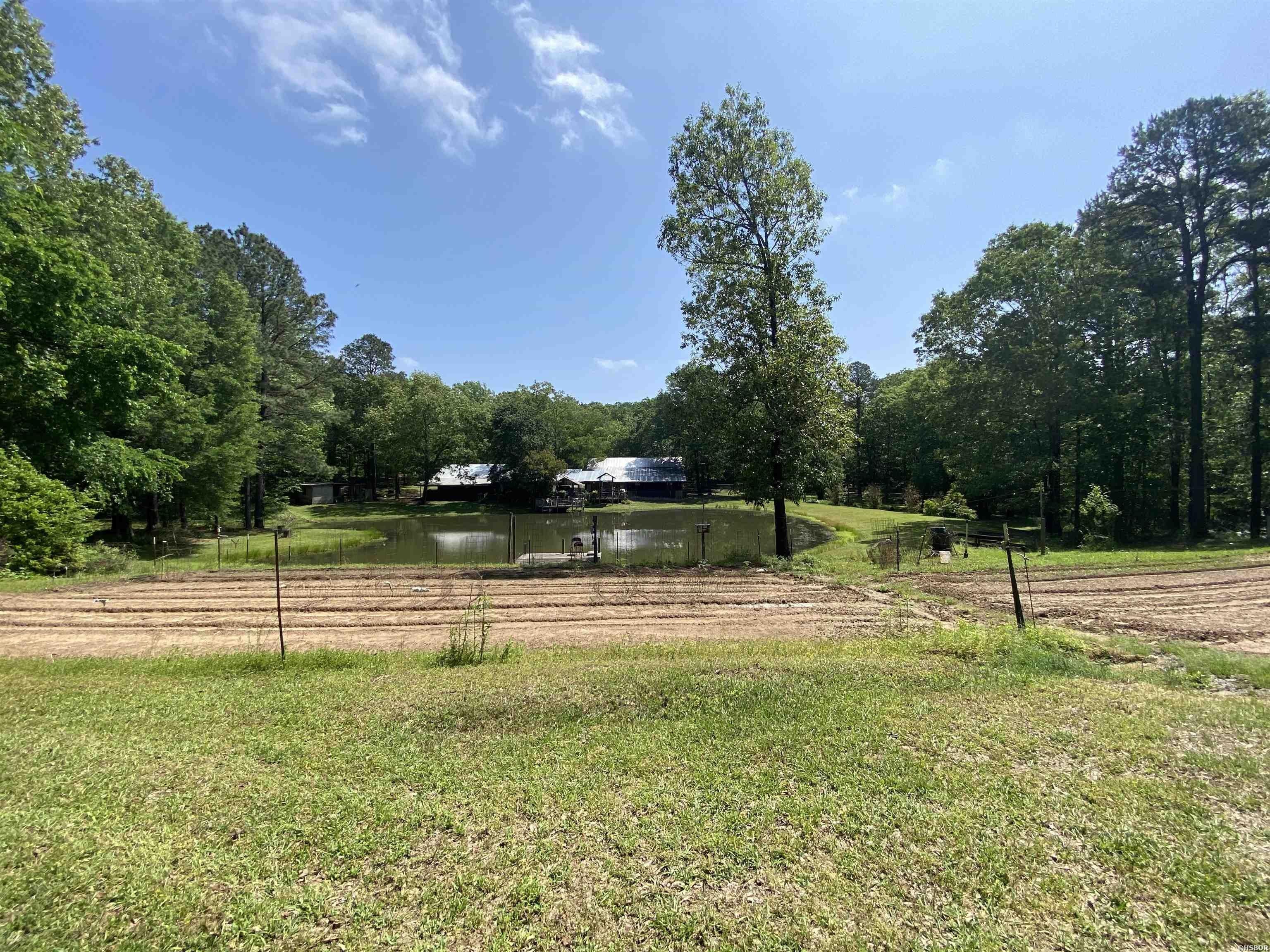 3.2 Acres, 451 PALMETTO, Bismarck, AR 71929 Land and Farm