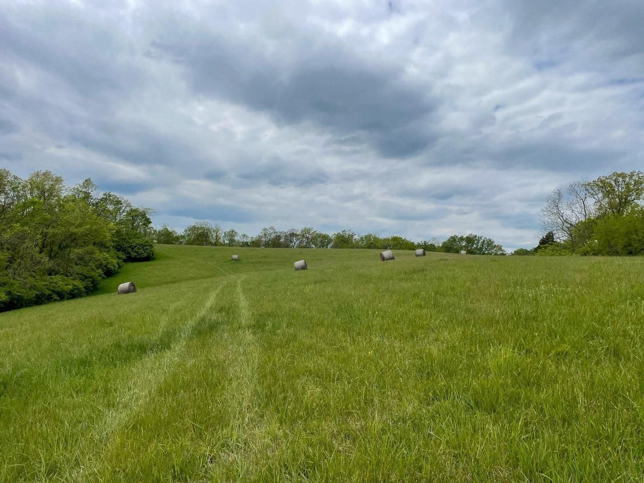 4405 Nixon Rd, Rising Sun, IN 47040 Land and Farm