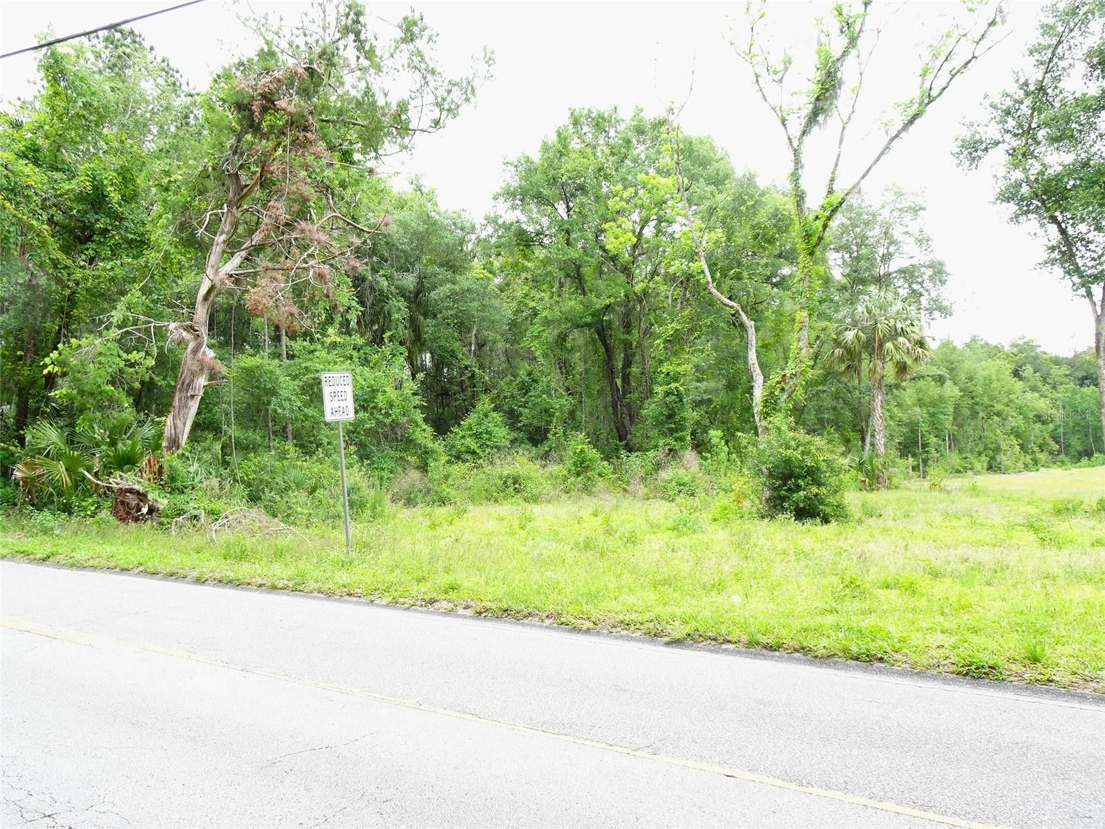 5.29 Acres, 150 STOKES LANDING ROAD, Palatka, FL 32177 Land and Farm