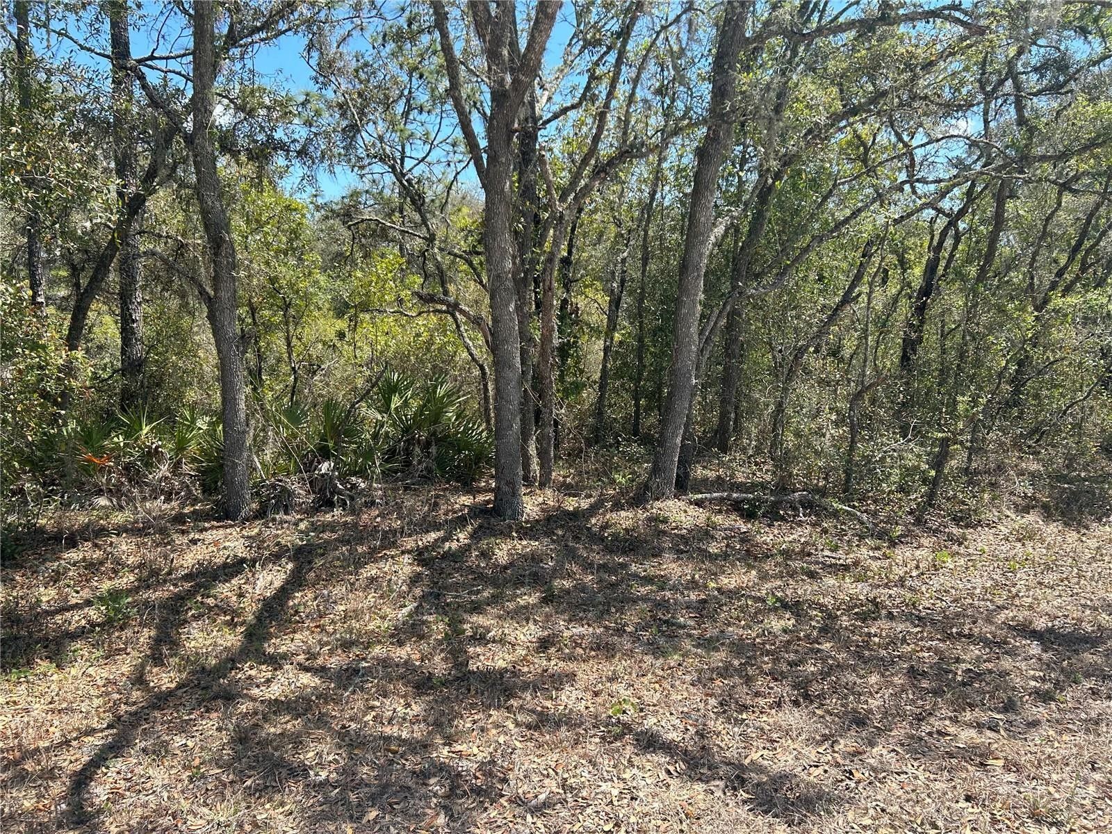 1.16 Acres, 7464 ATWOOD DRIVE, ster, FL 33597 Land and Farm